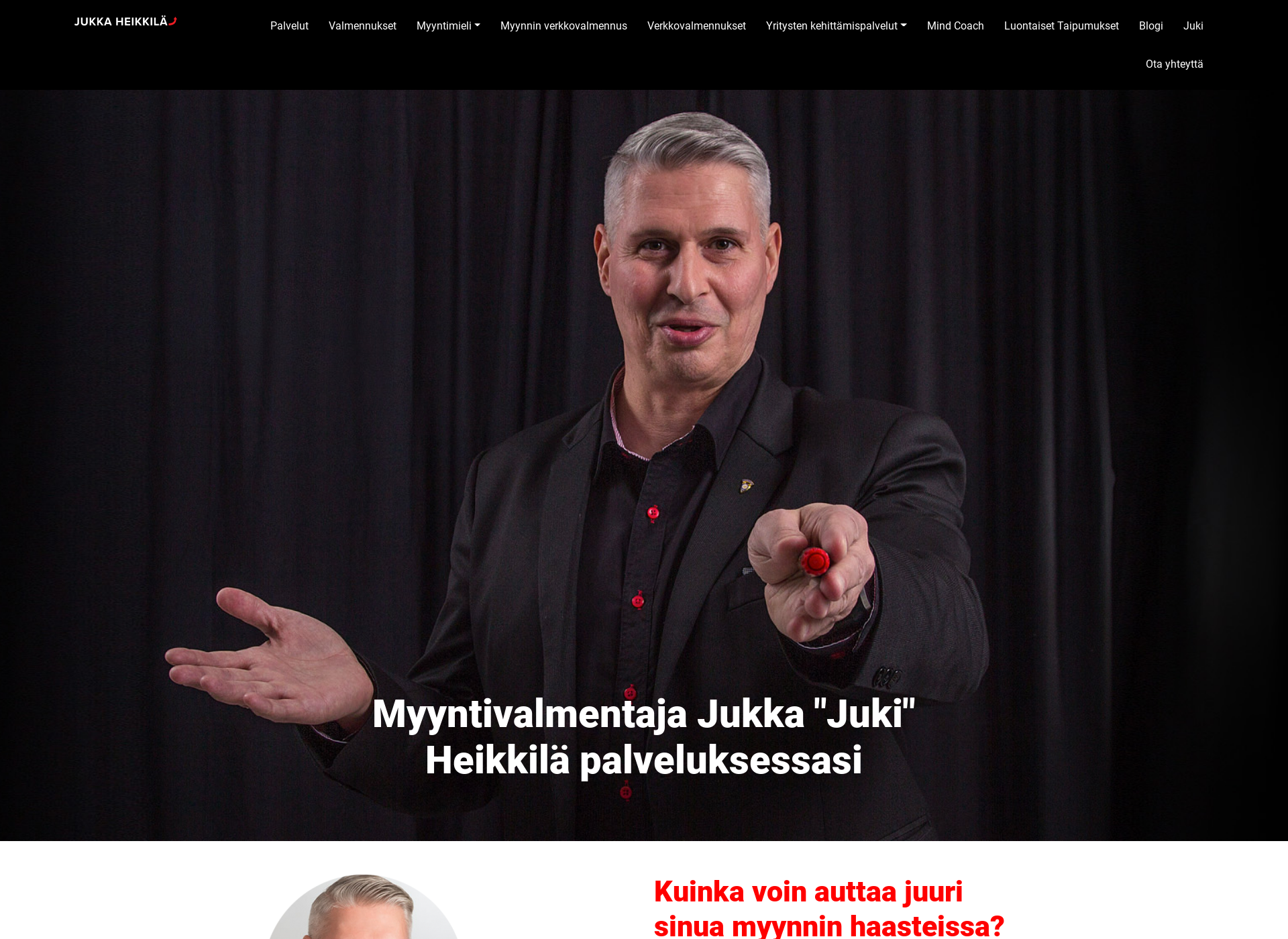 Skärmdump för logotiimi.fi