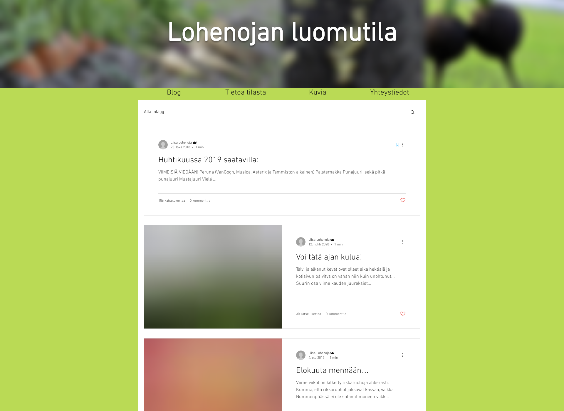 Screenshot for lohenojanluomu.fi