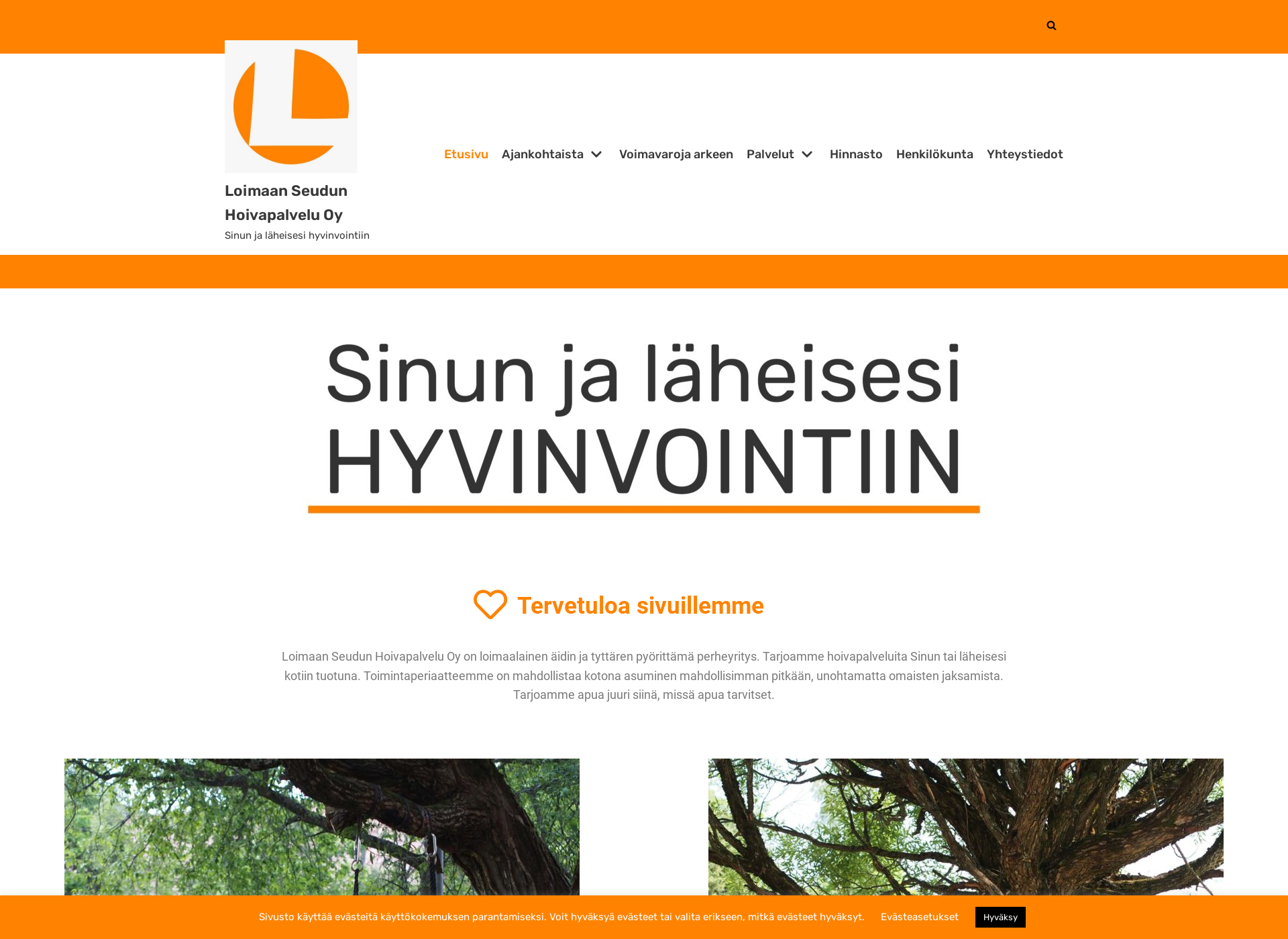 Skärmdump för loimaanhoiva.fi