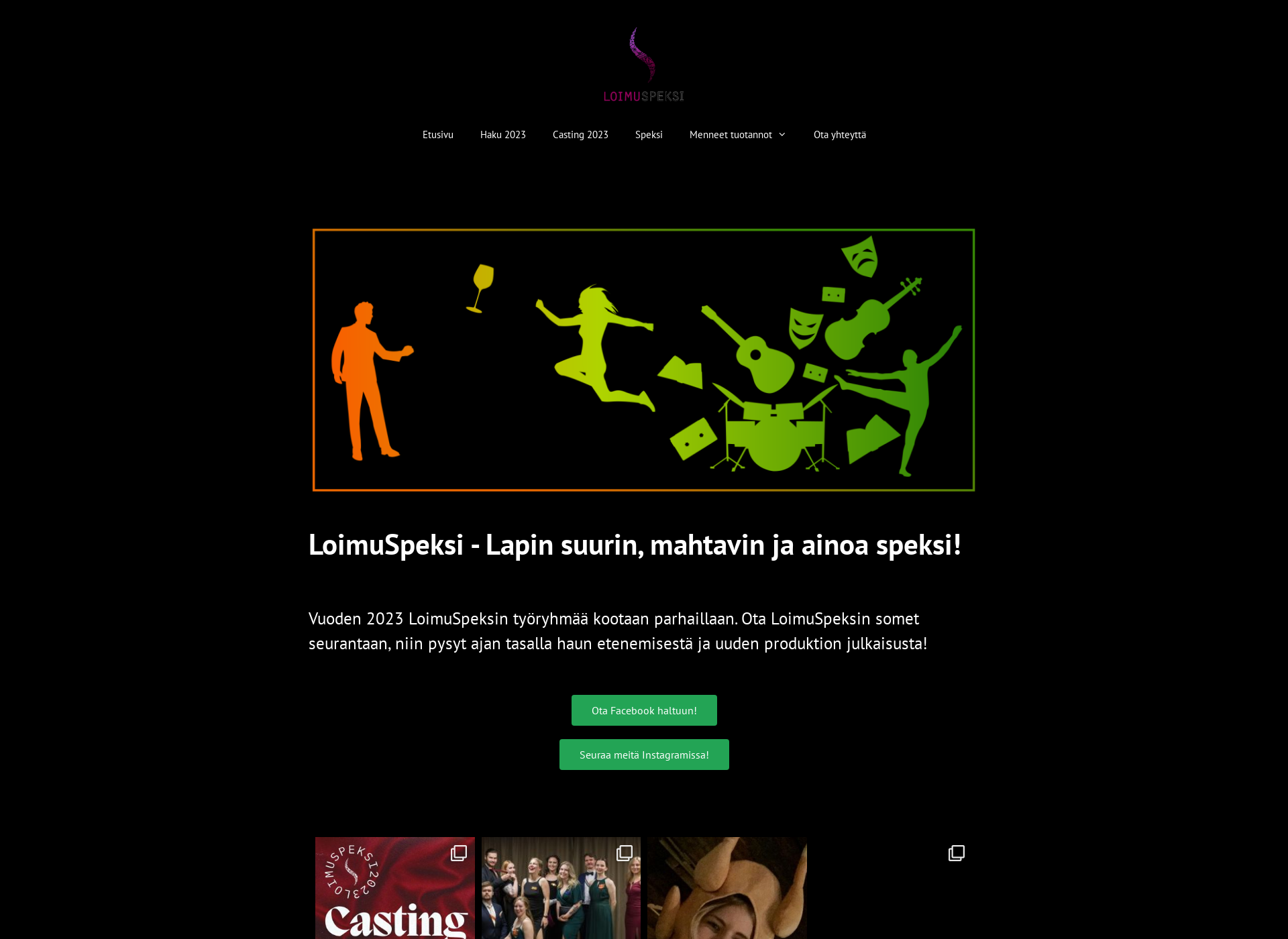 Screenshot for loimuspeksi.fi