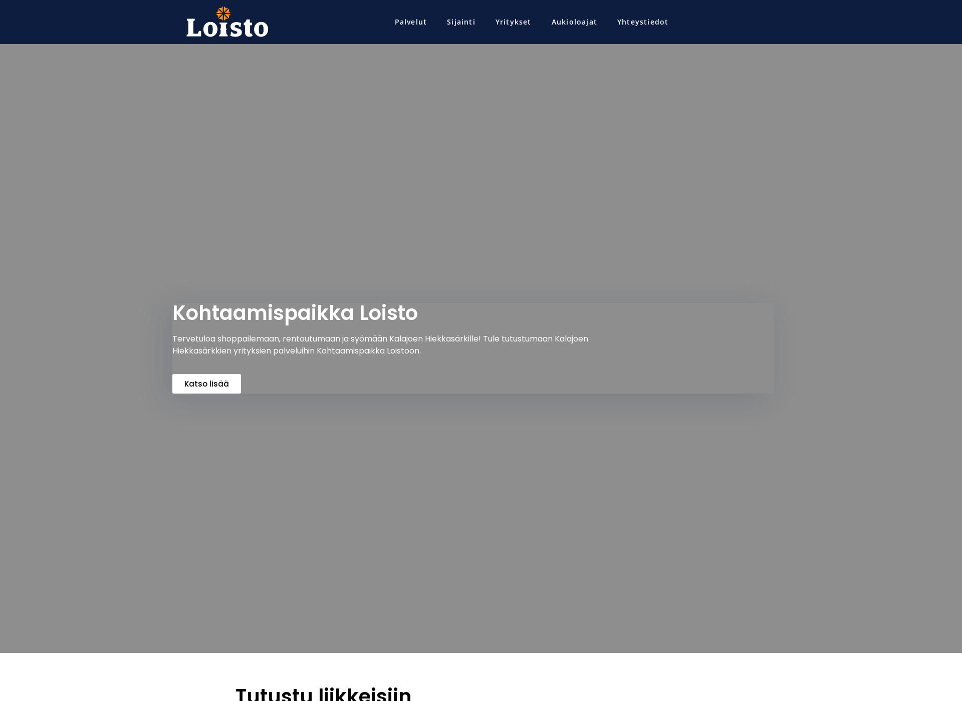 Screenshot for loisto.fi