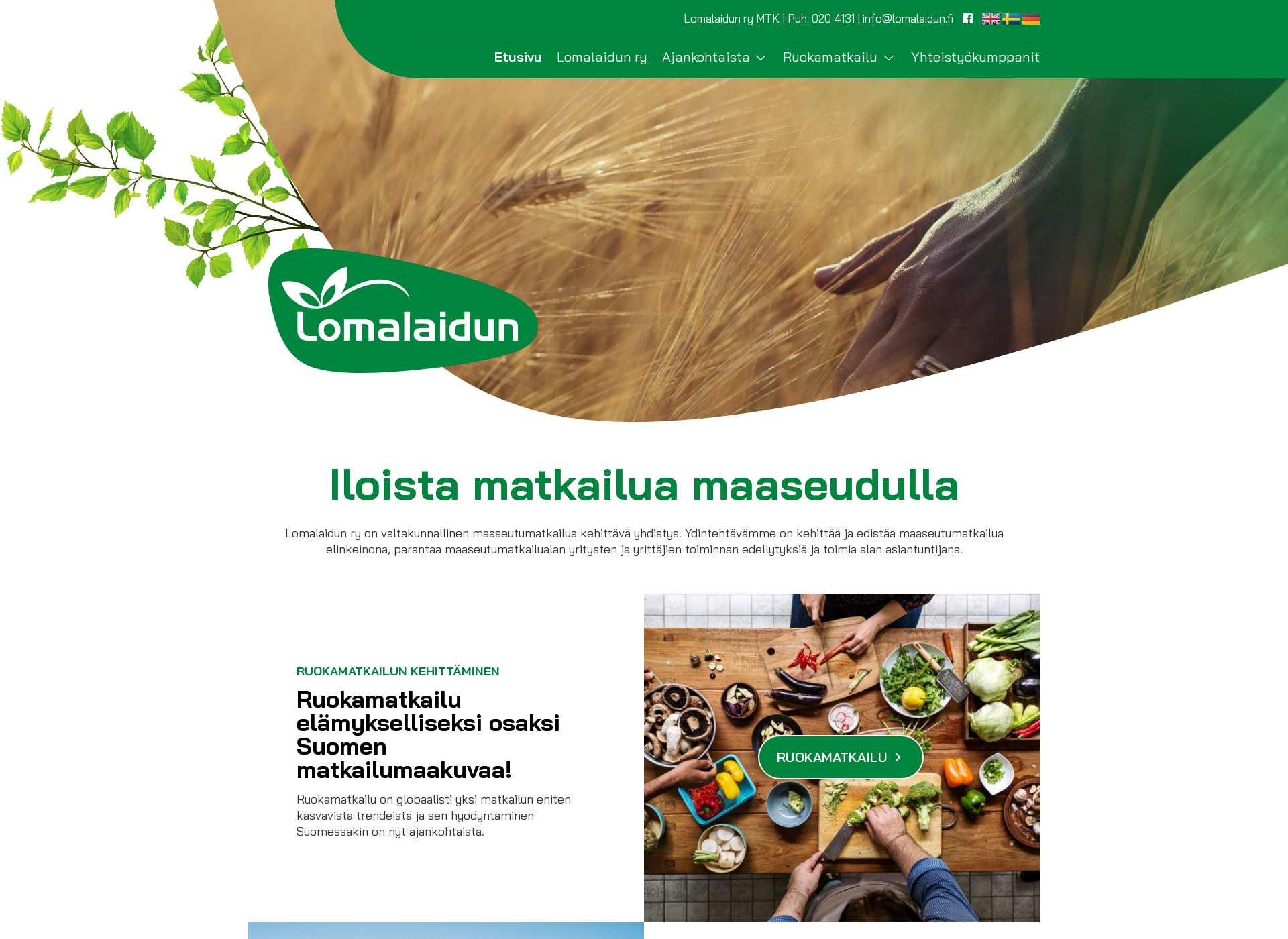 Screenshot for lomalaidun.fi