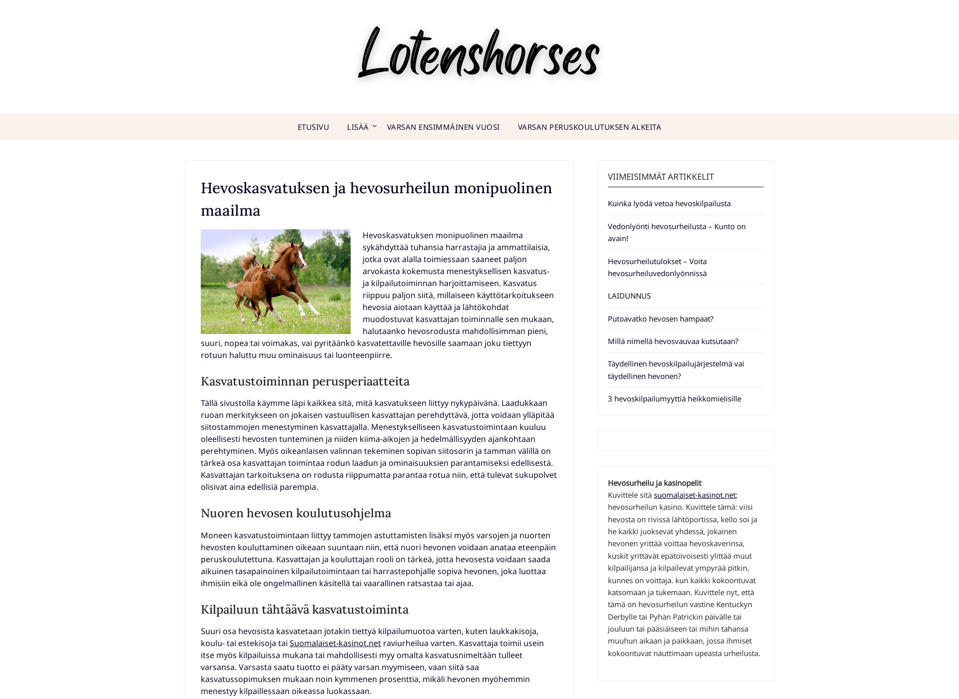 Screenshot for lotenshorses.fi