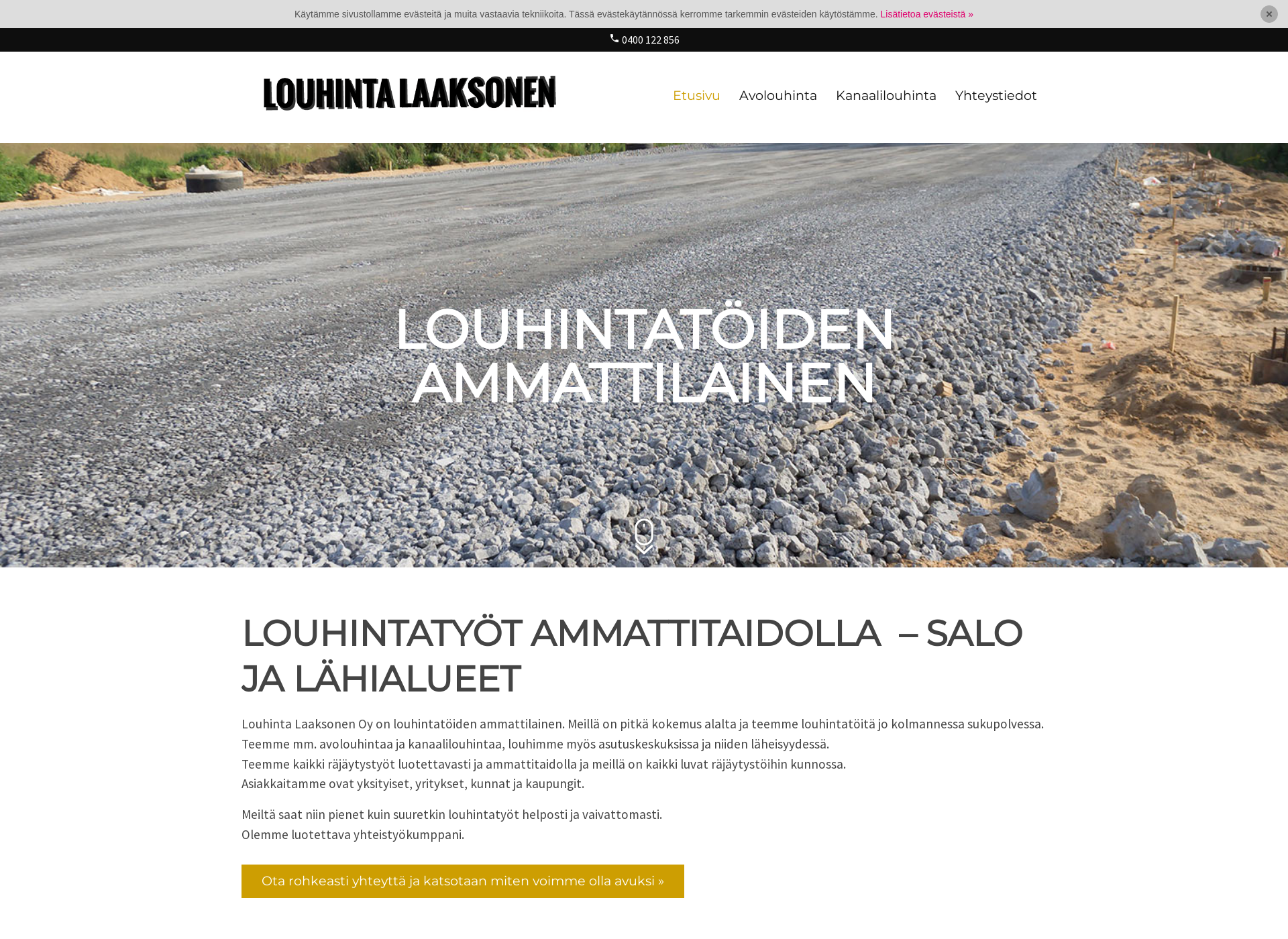 Screenshot for louhintasalo.fi