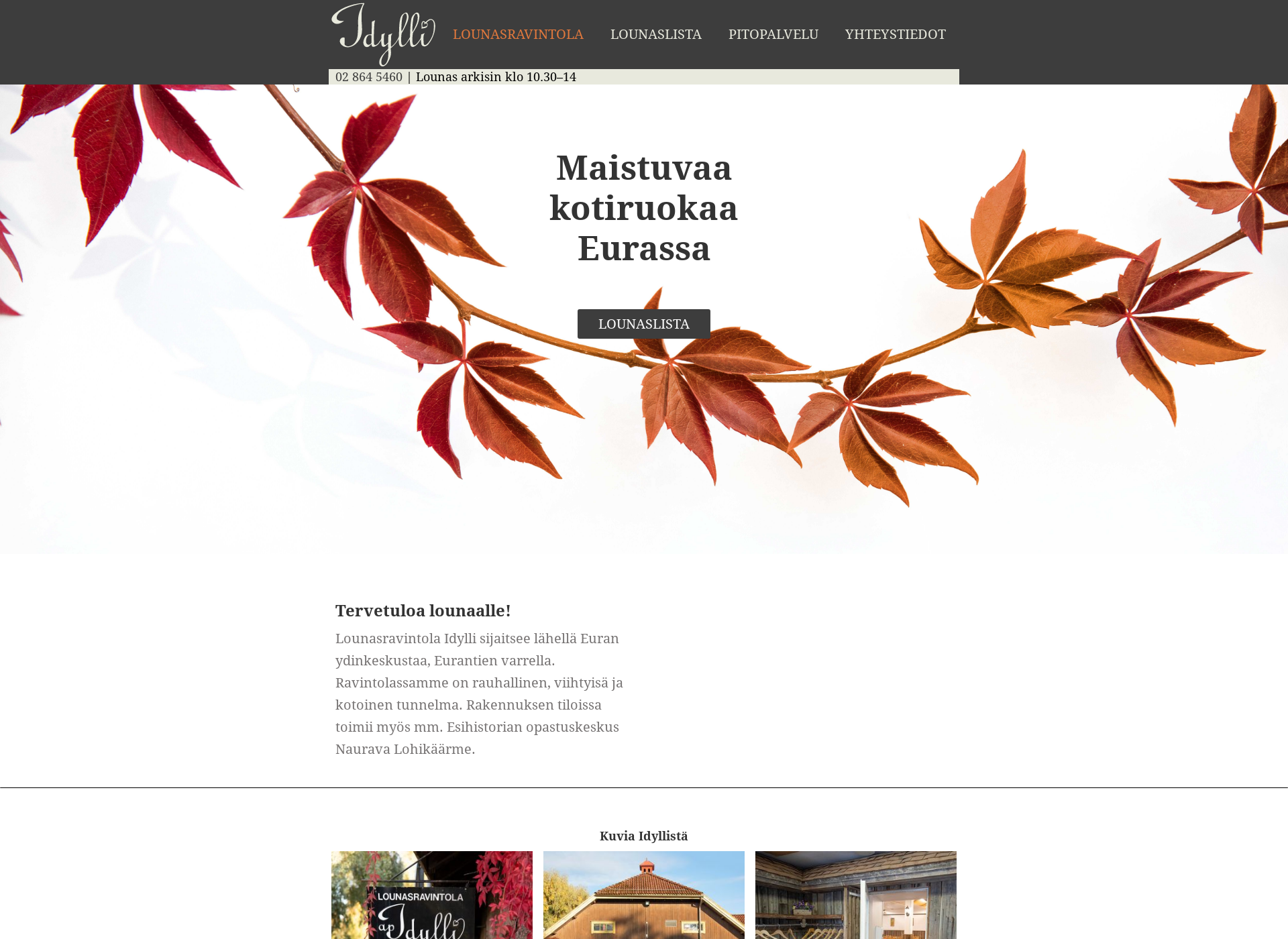 Screenshot for lounasravintolaidylli.fi
