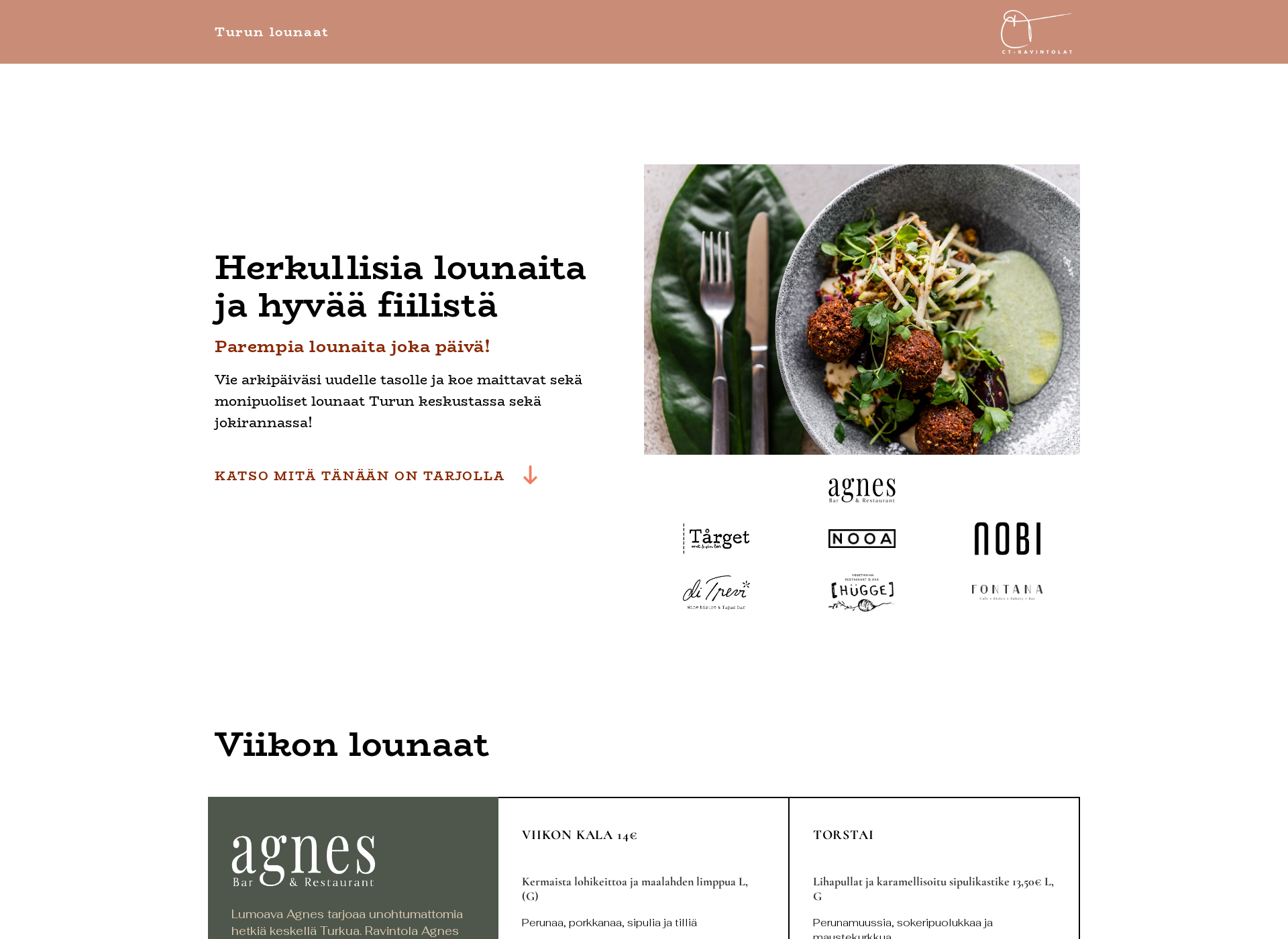 Screenshot for lounasravintolaturku.fi