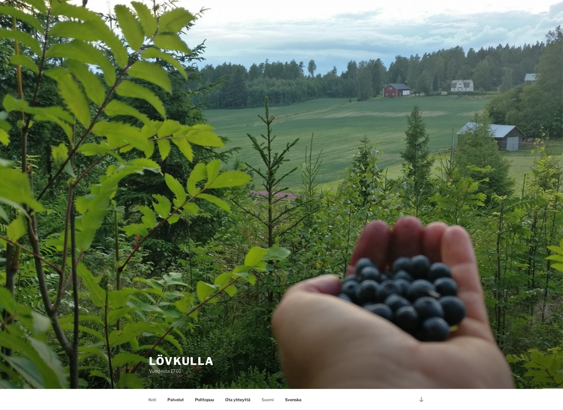 Screenshot for lovkulla.fi