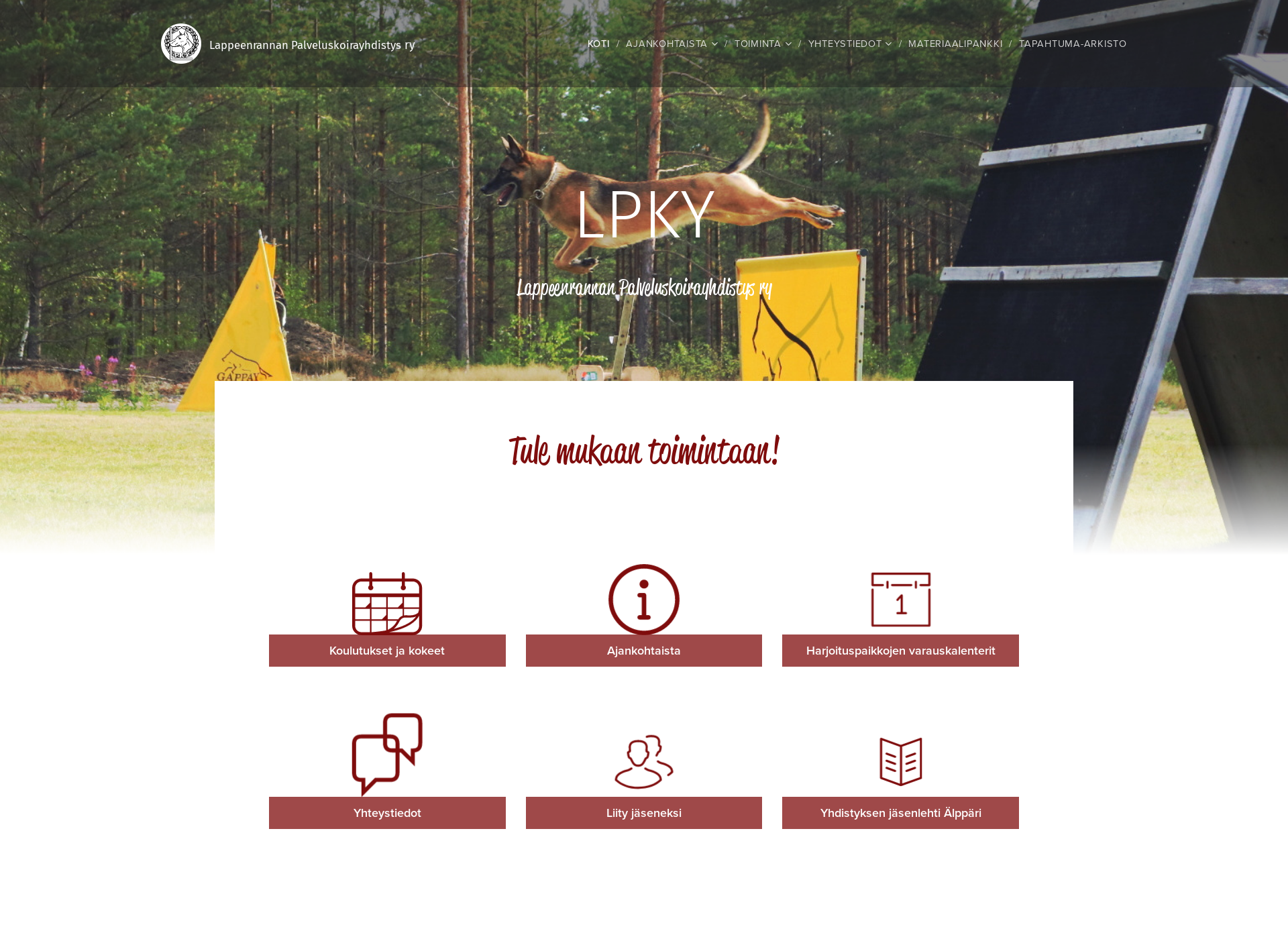 Screenshot for lpky.fi