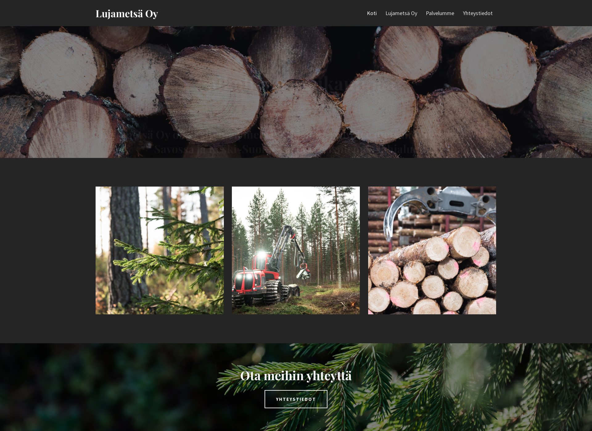 Screenshot for lujametsa.fi