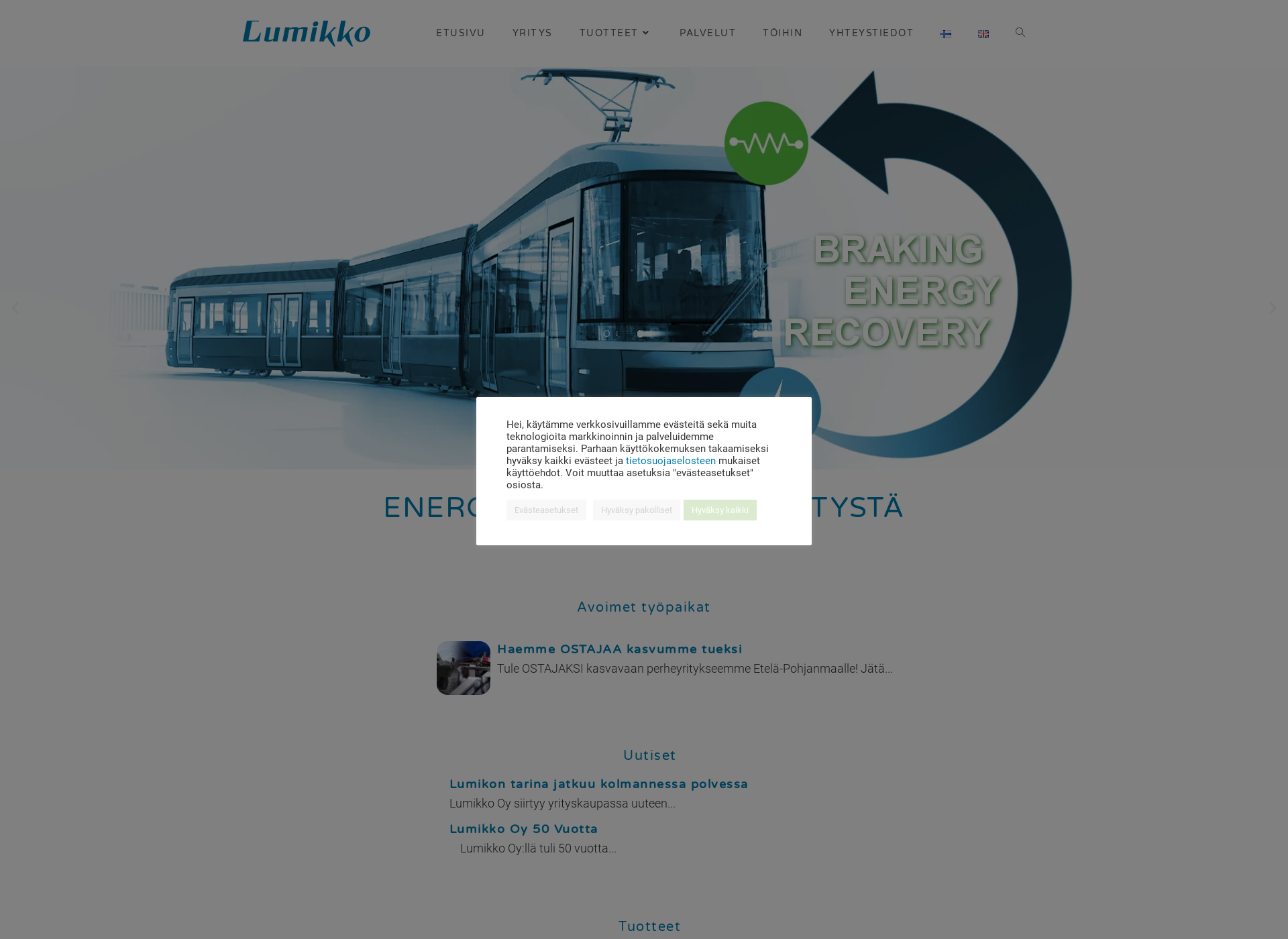 Screenshot for lumikko.fi