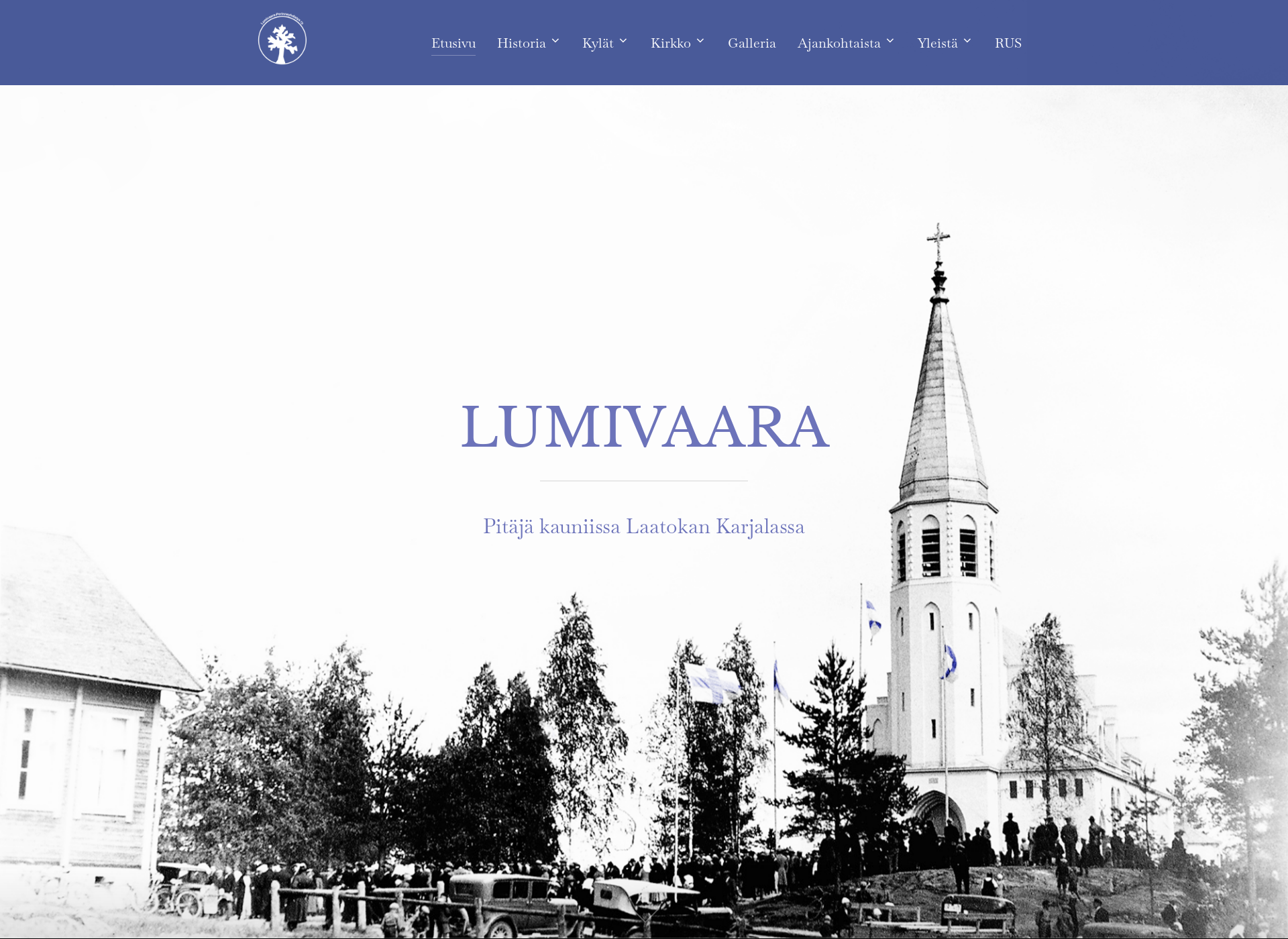 Screenshot for lumivaara.fi