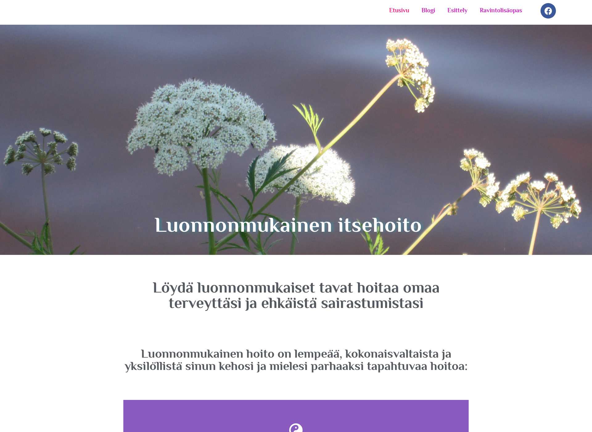 Screenshot for luonnonmukainenitsehoito.fi