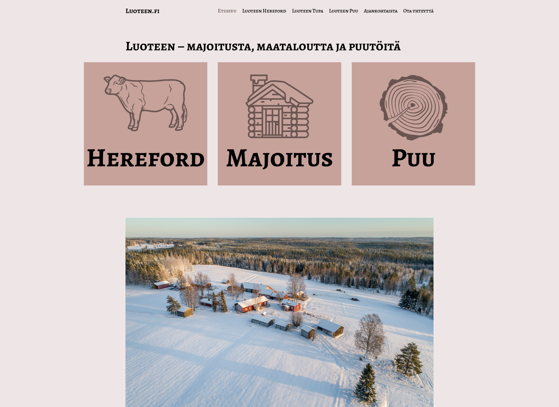 Screenshot for luoteen.fi