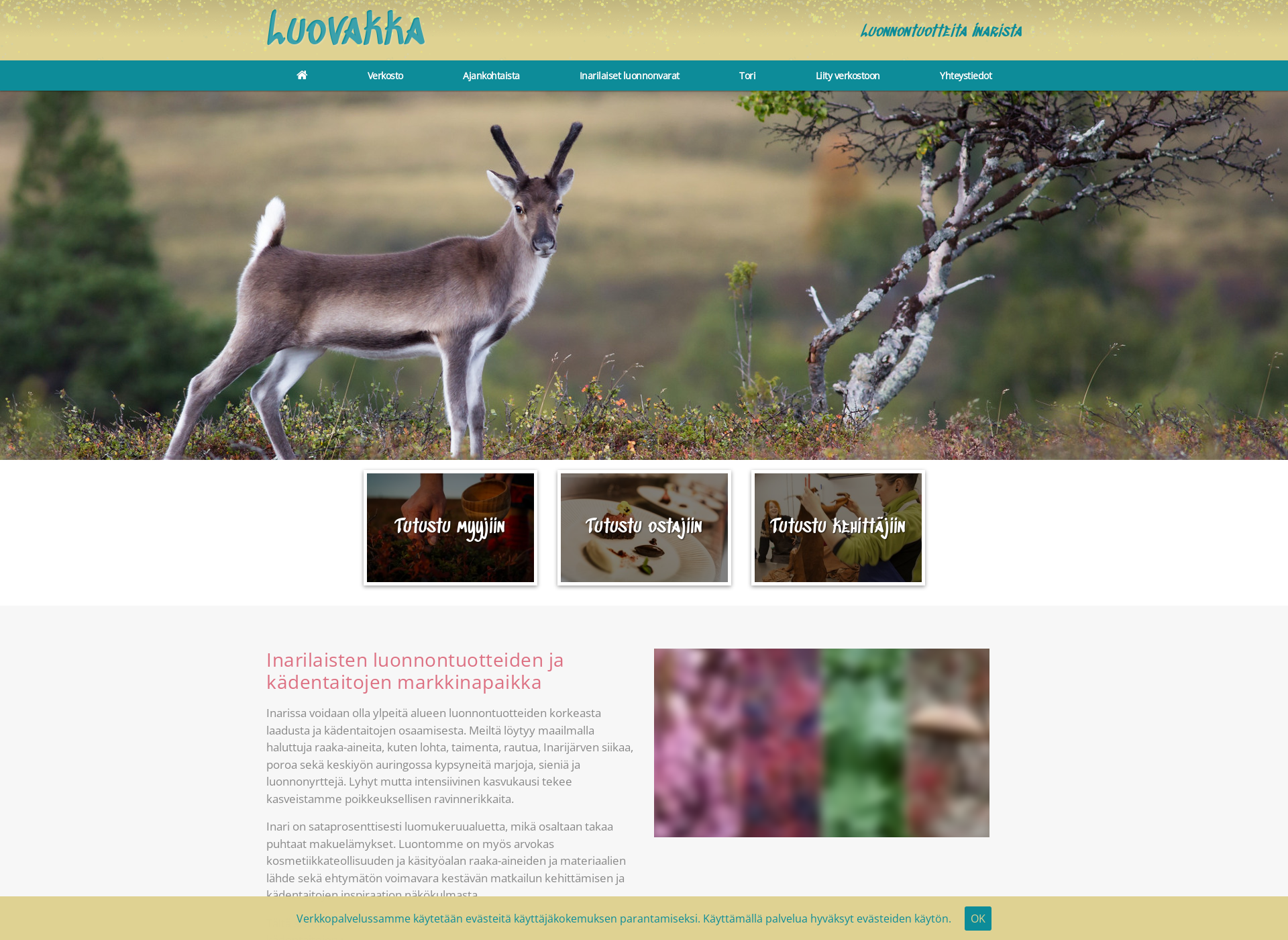 Screenshot for luovakka.fi