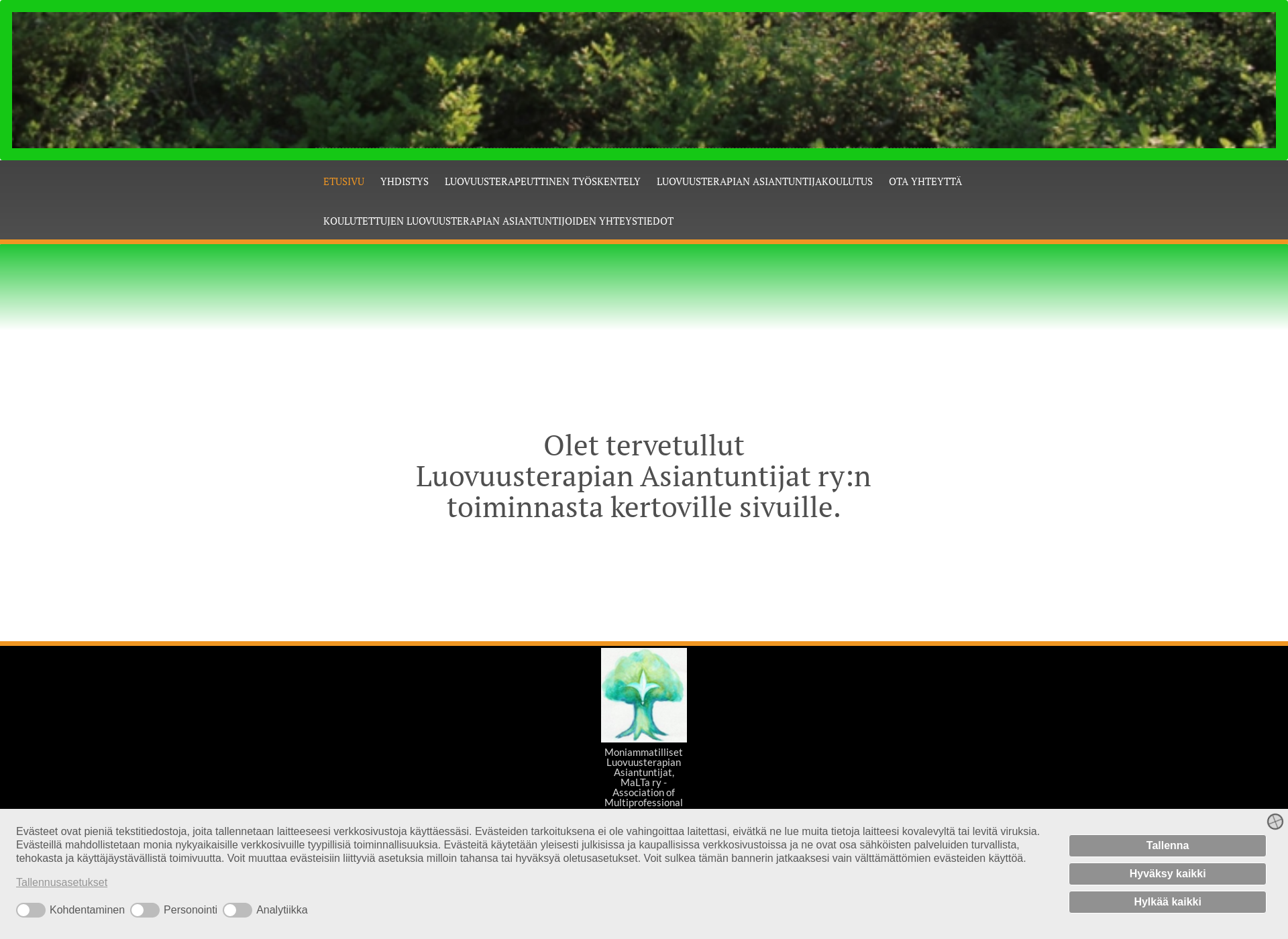 Screenshot for luovuusterapia.fi