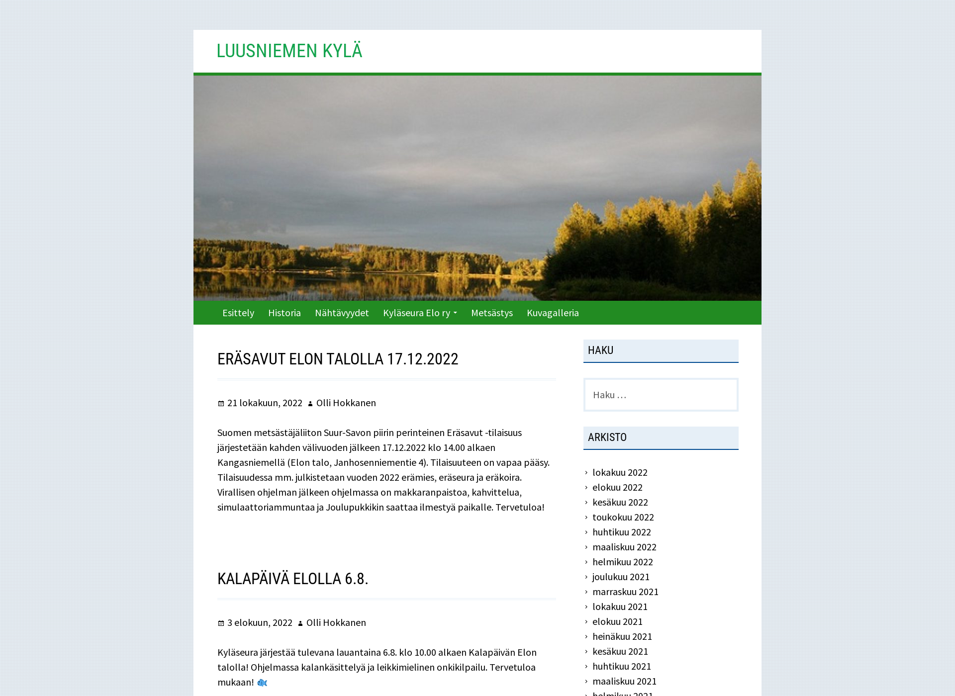 Screenshot for luusniemi.fi
