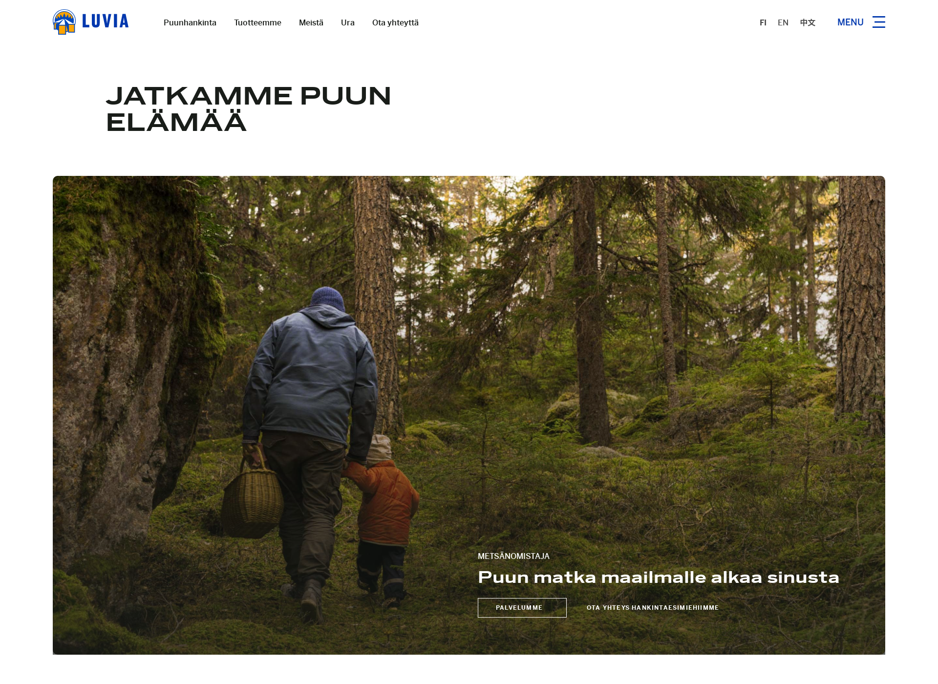 Skärmdump för luvia.fi