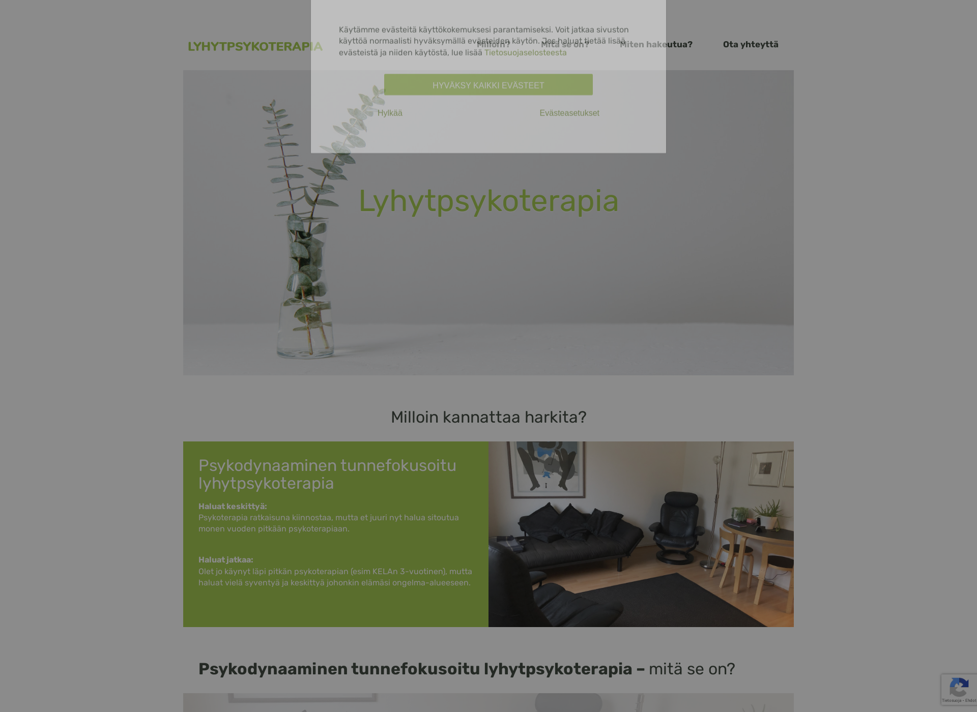 Skärmdump för lyhytpsykoterapia.fi