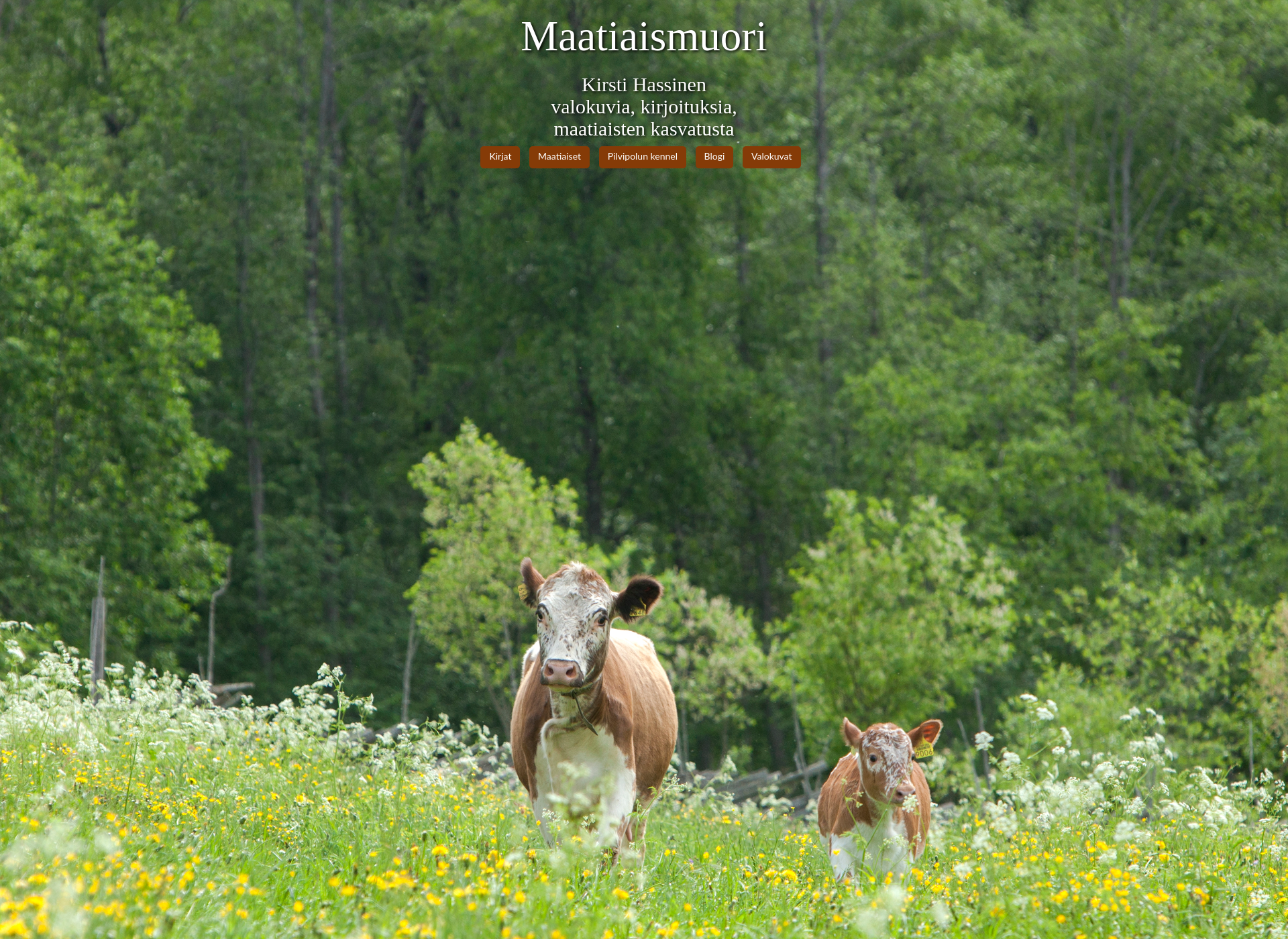 Screenshot for maatiaismuori.fi