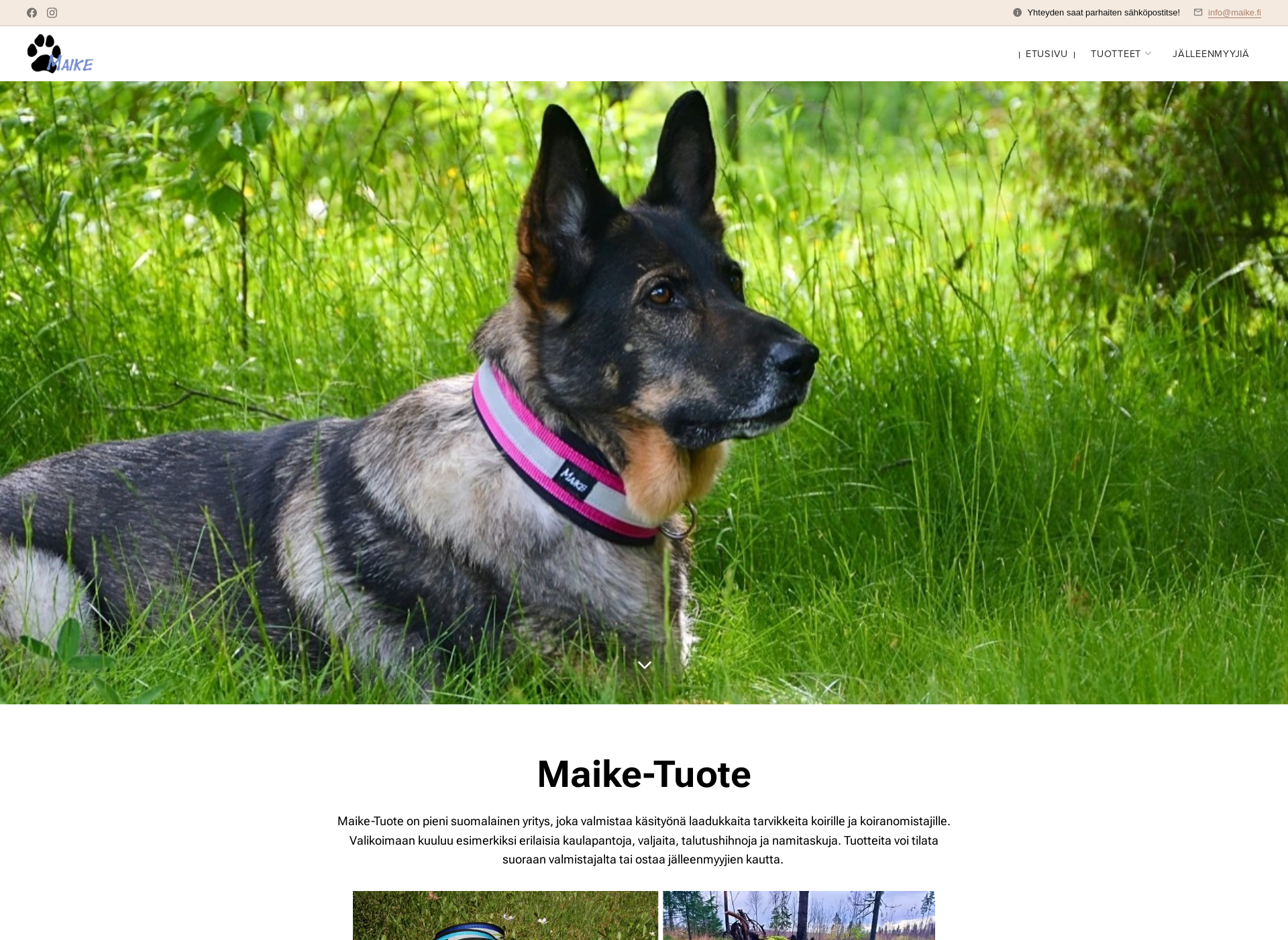 Skärmdump för maike.fi