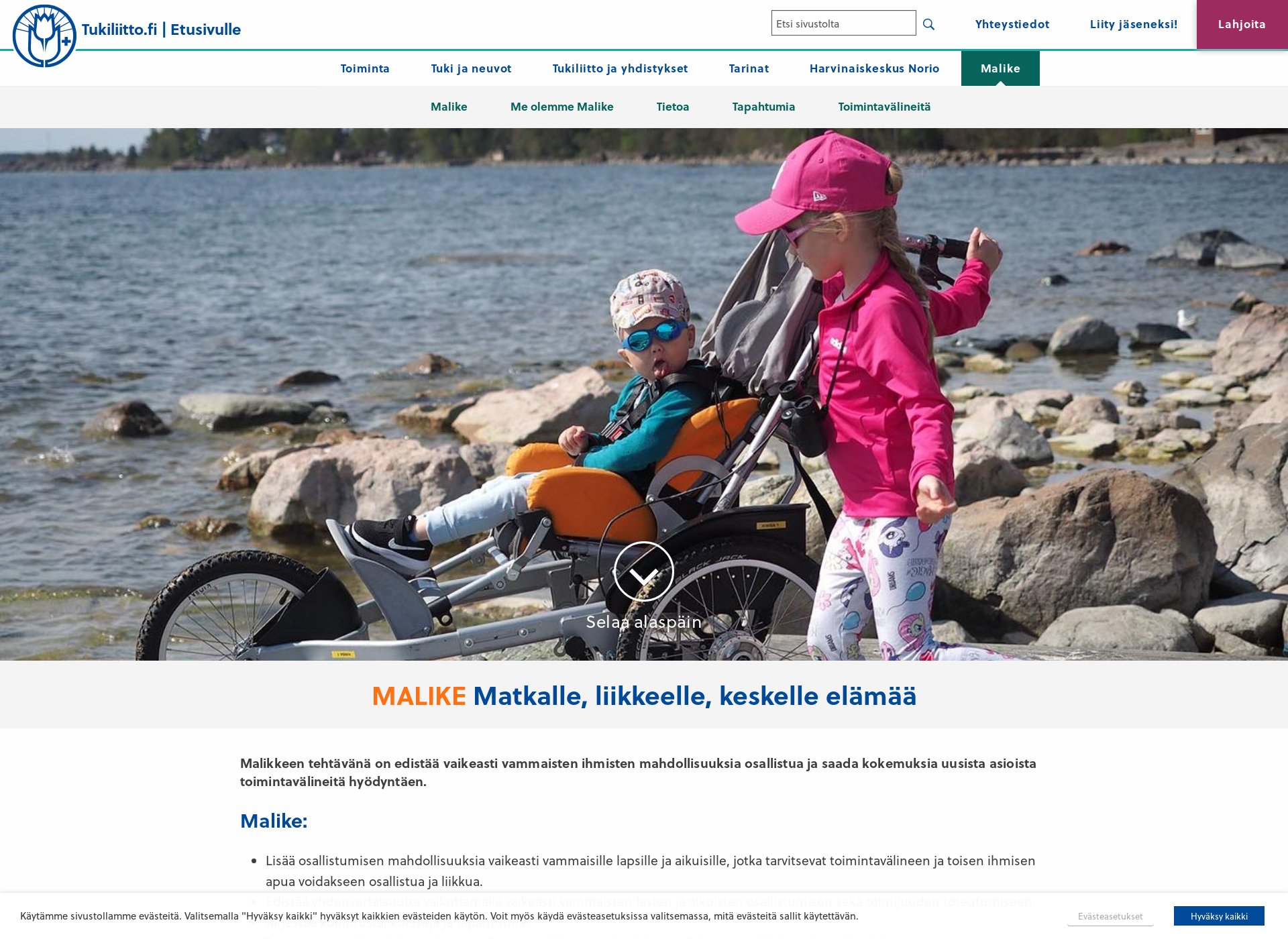 Screenshot for malike.fi