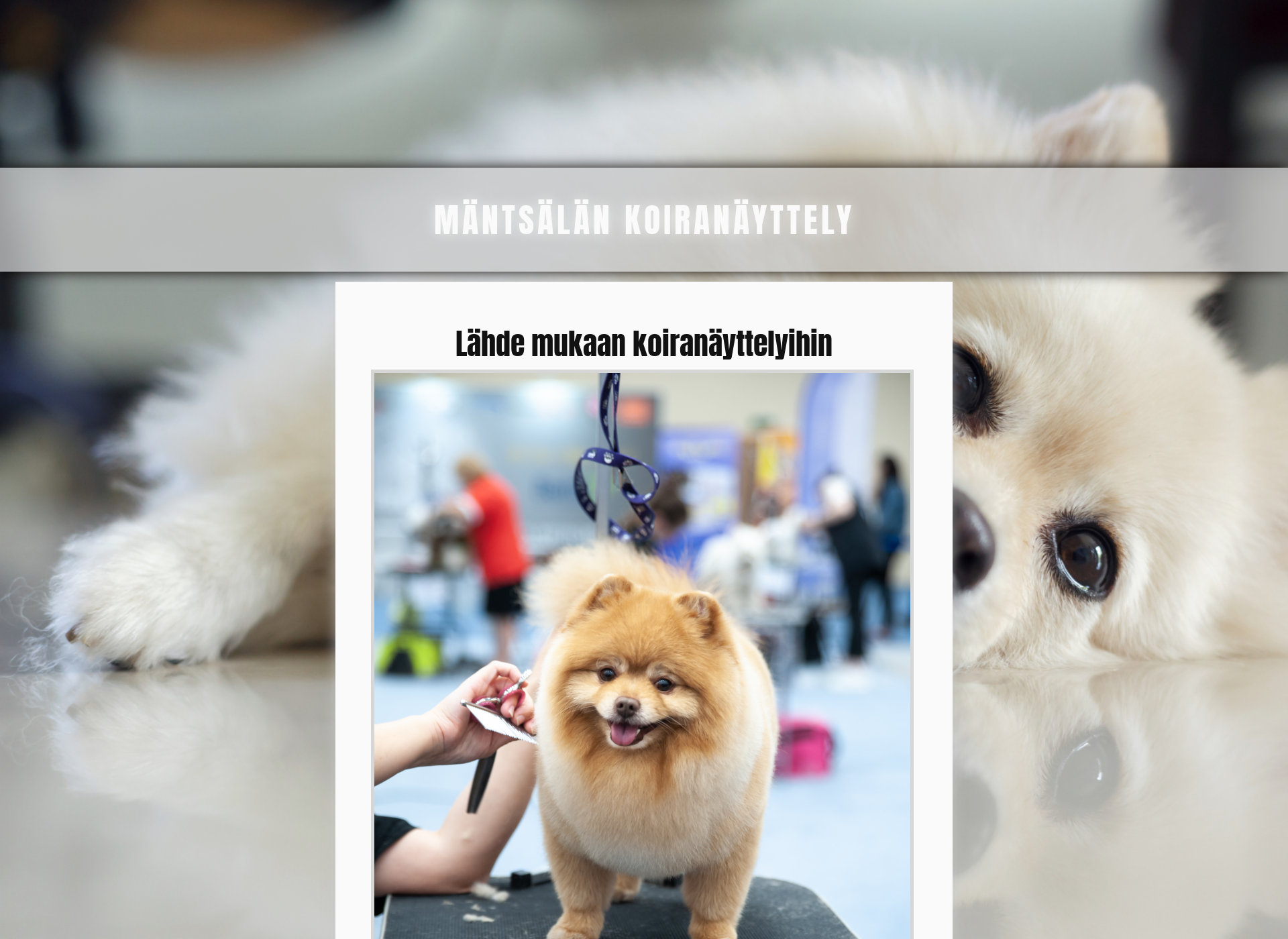 Screenshot for mantsalannayttely.fi