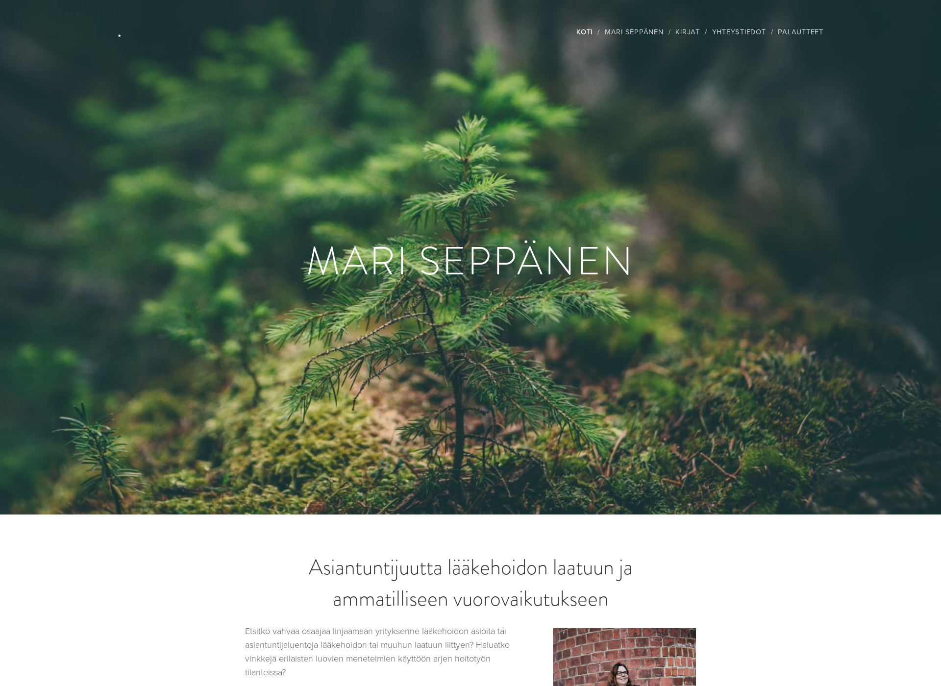 Screenshot for mariseppanen.fi
