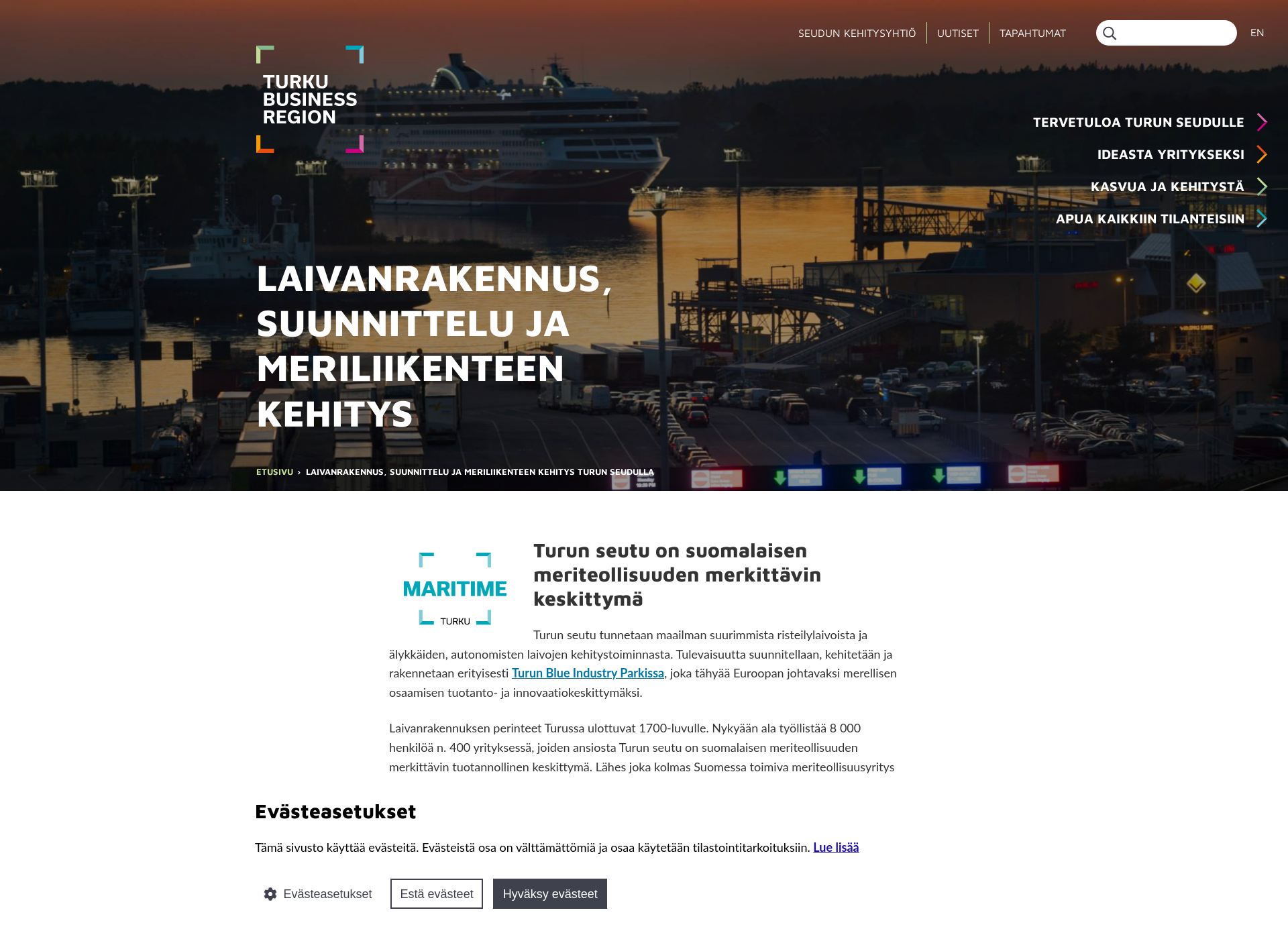 Skärmdump för maritimeturku.fi