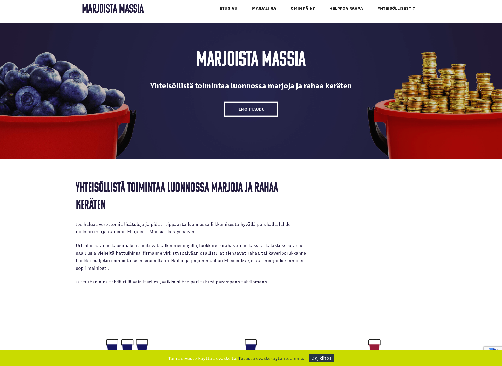 Screenshot for marjoistamassia.fi