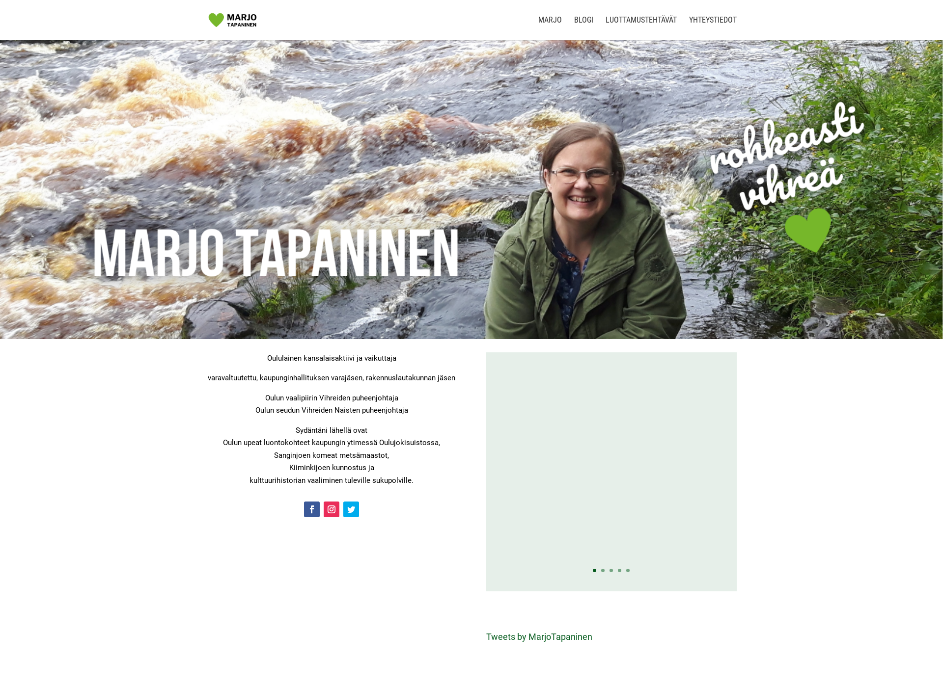Skärmdump för marjotapaninen.fi