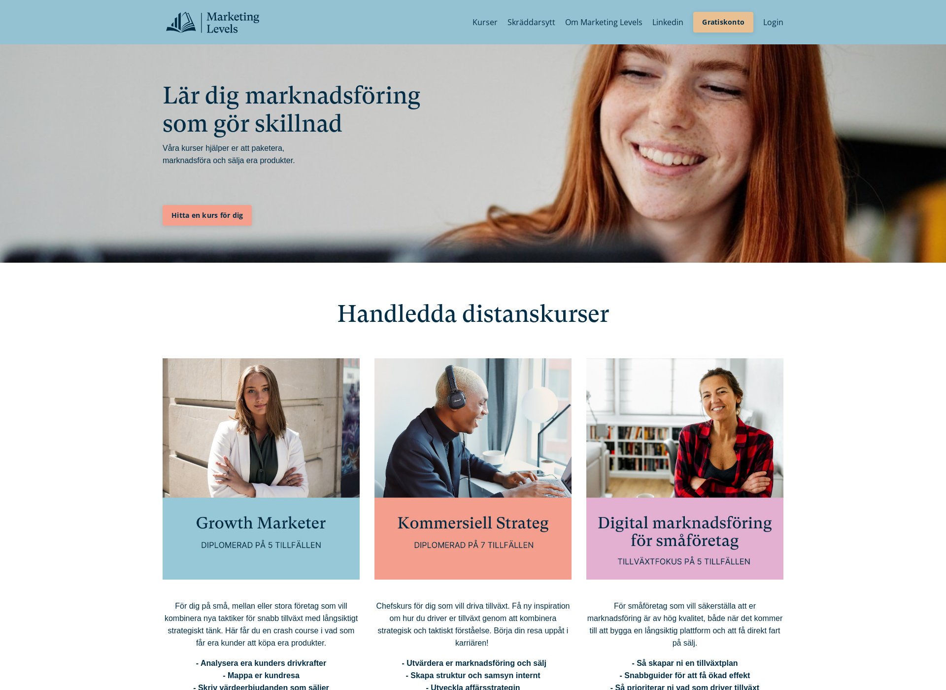 Skärmdump för marketinglevels.fi