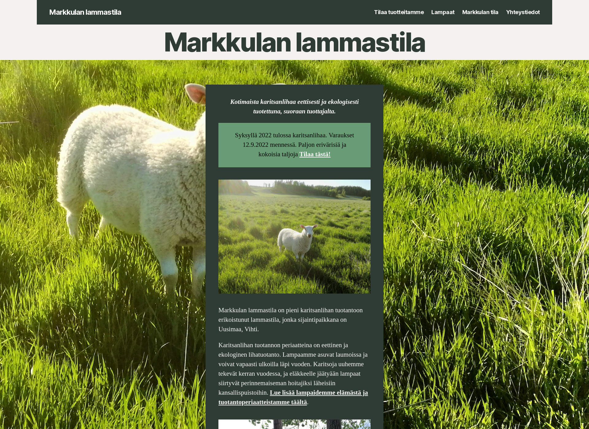 Screenshot for markkulanlammastila.fi