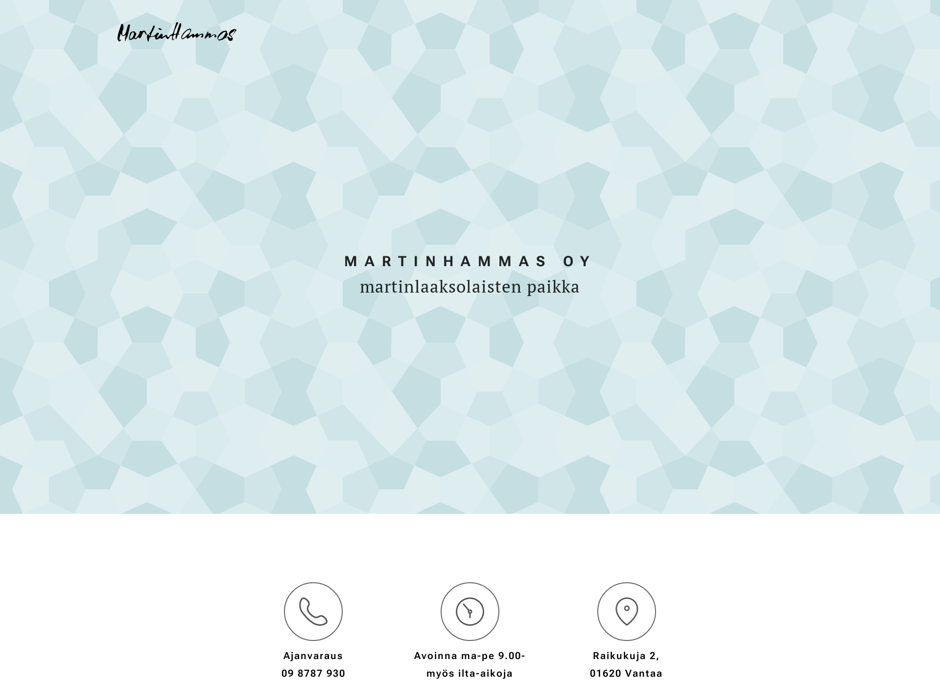 Screenshot for martinhammas.fi