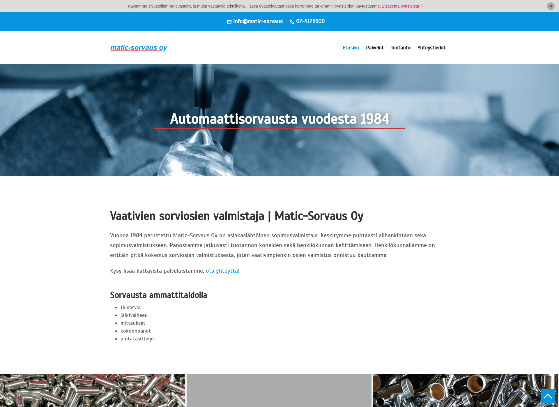 Screenshot for matic-sorvaus.fi