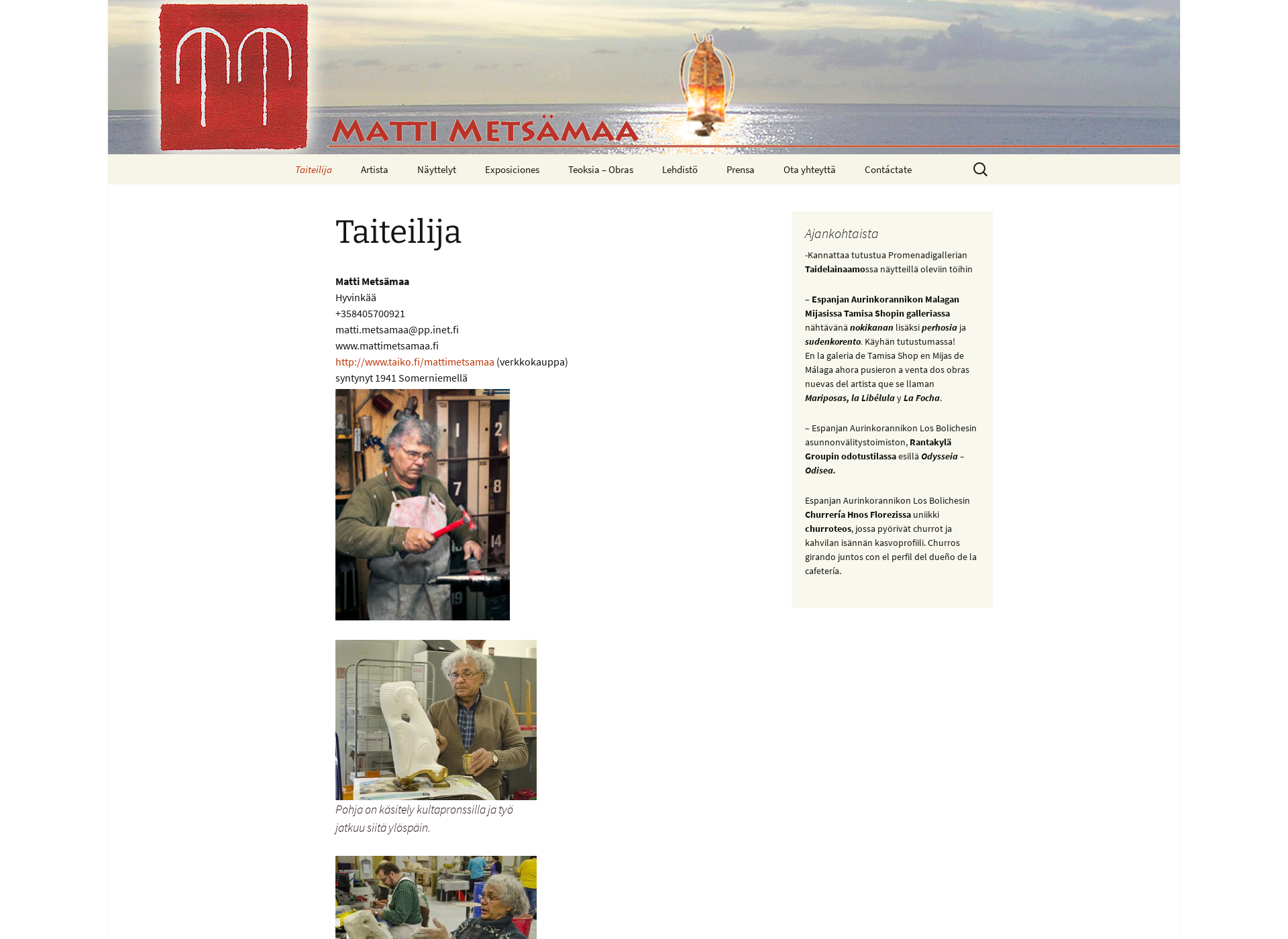 Screenshot for mattimetsamaa.fi