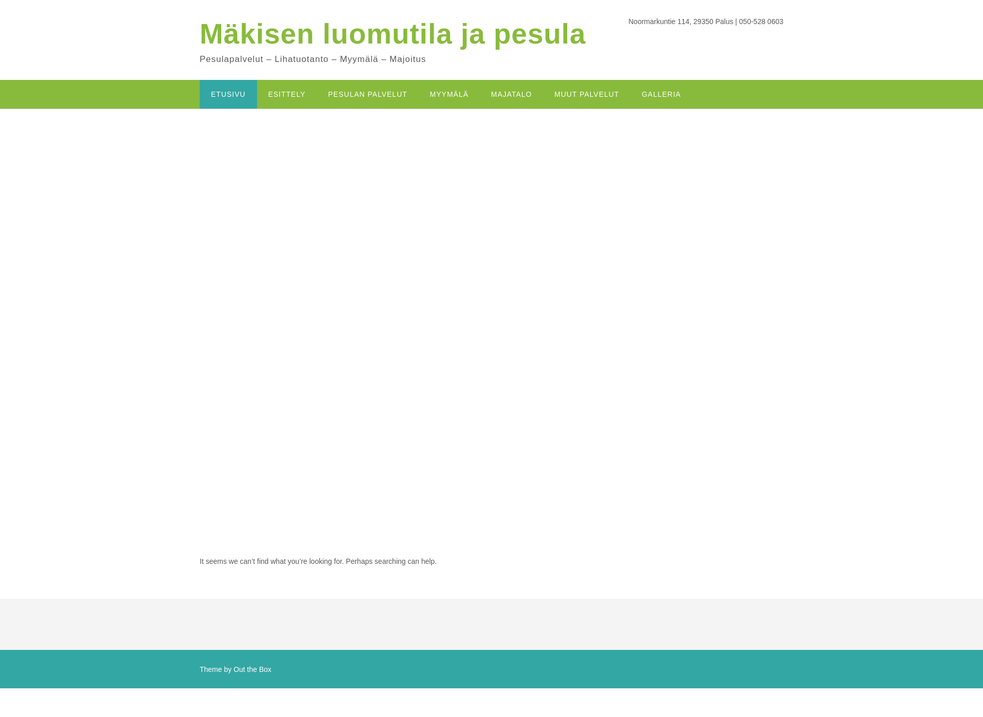 Skärmdump för mattopesulamakinen.fi