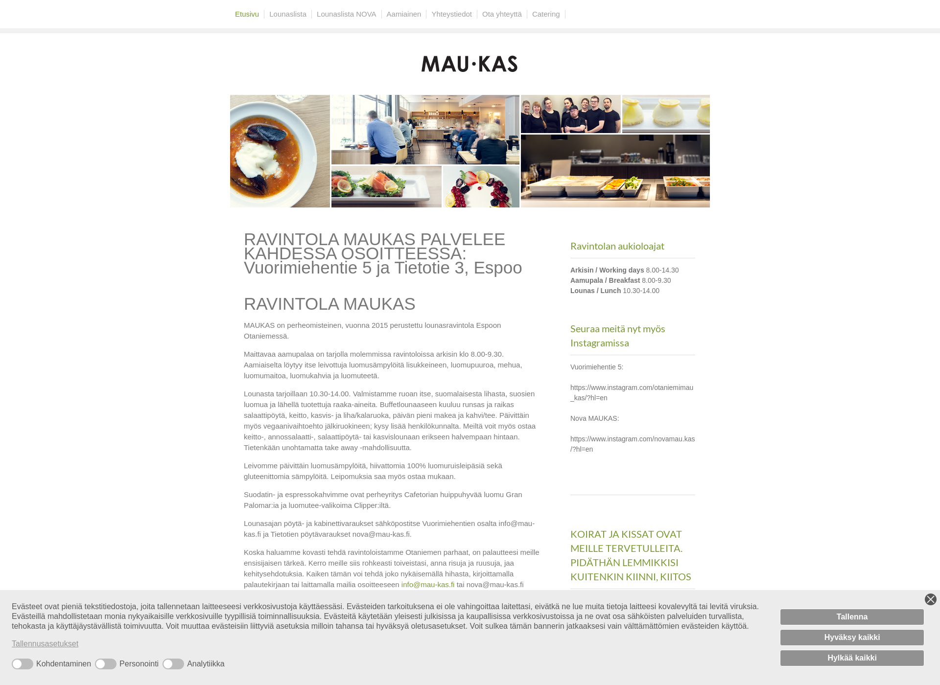 Skärmdump för mau-kas.fi