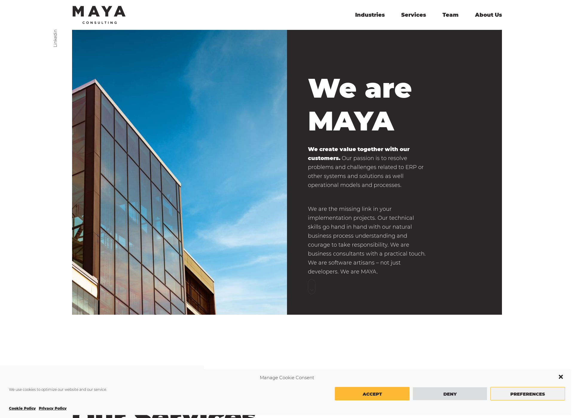 Skärmdump för mayaconsulting.fi