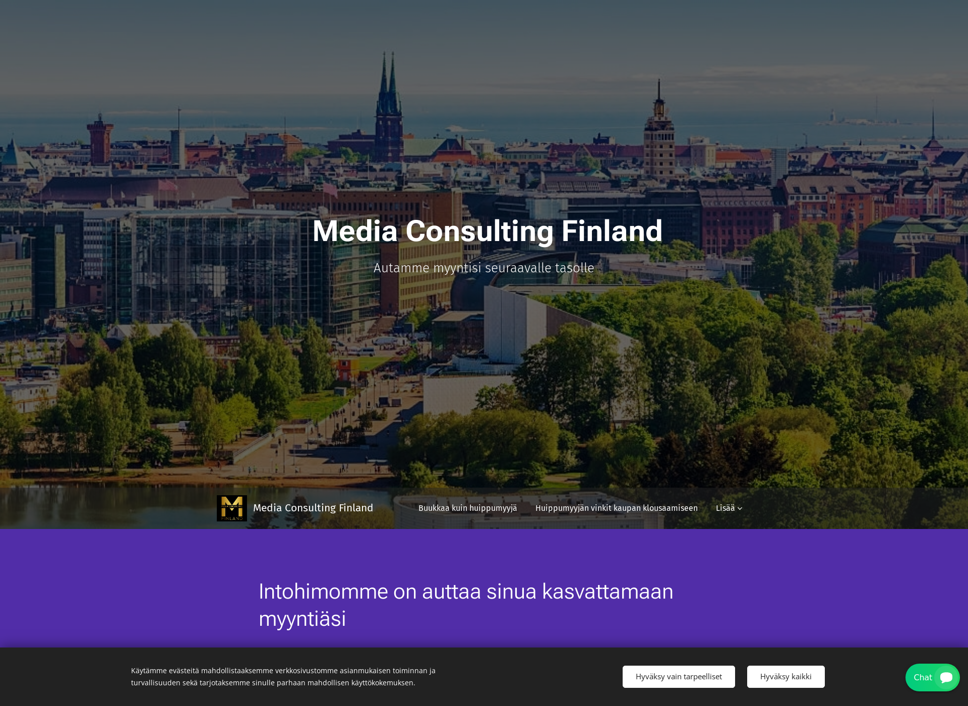 Skärmdump för mediaconsulting.fi