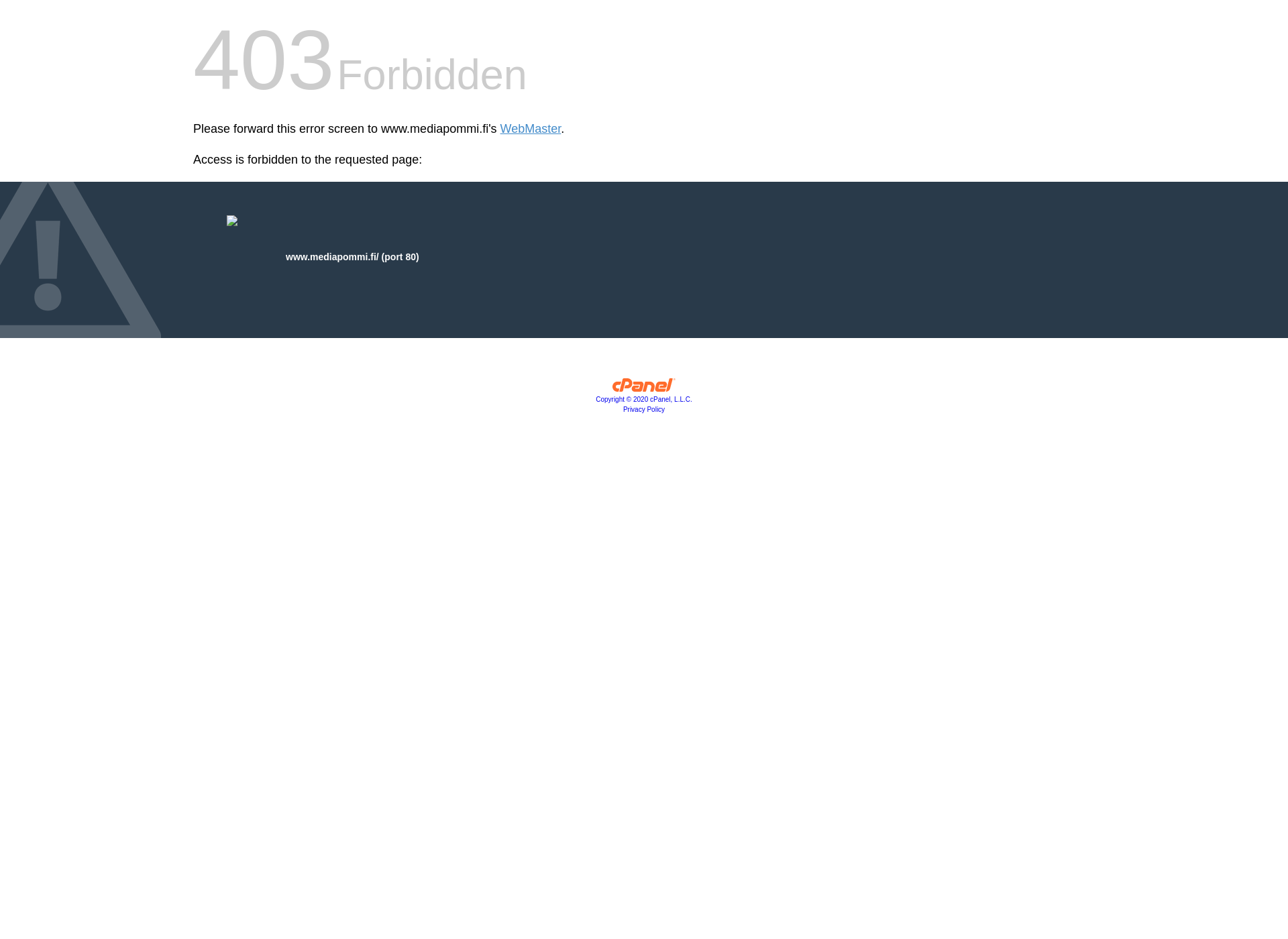 Skärmdump för mediapommi.fi