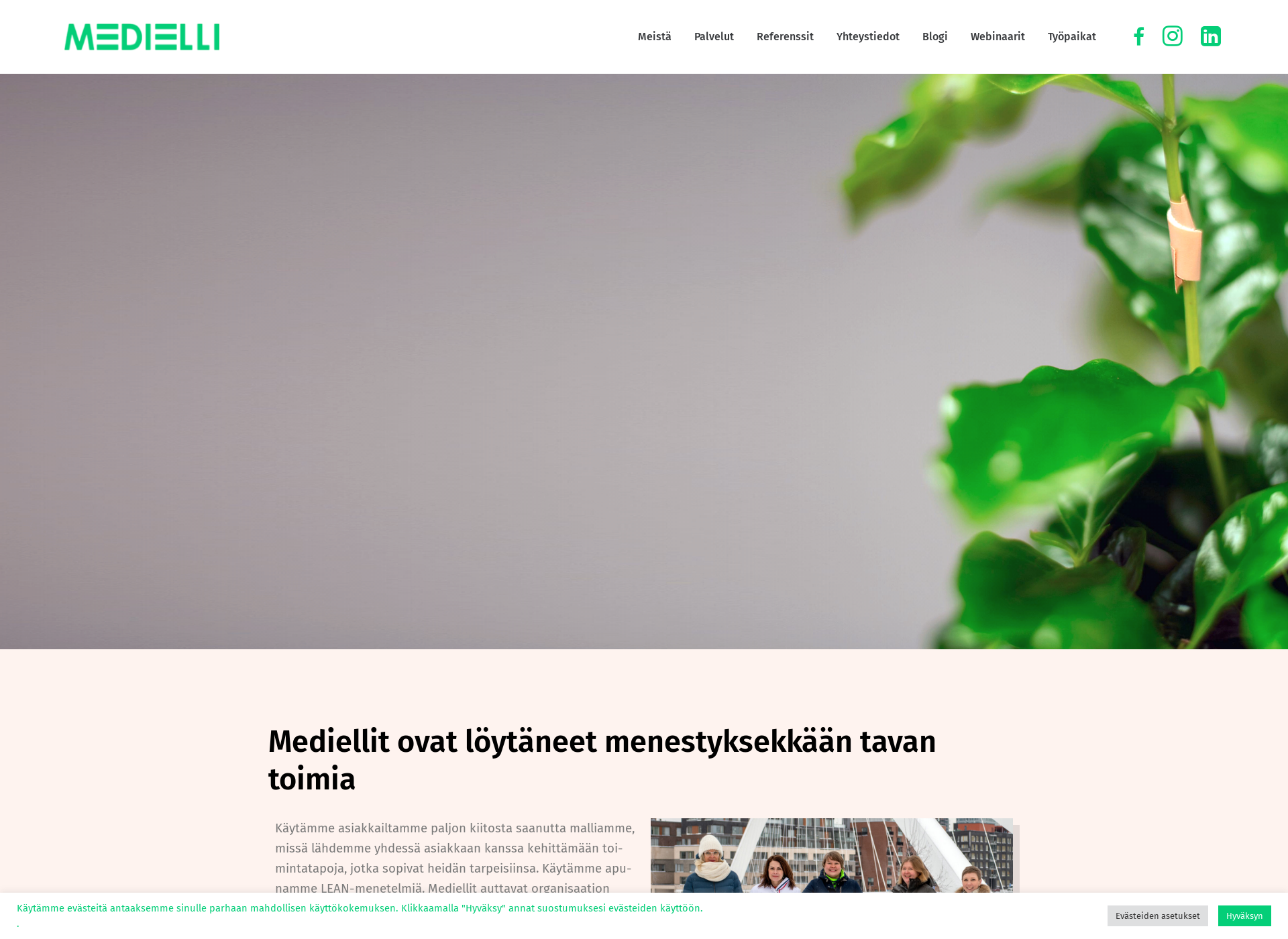 Screenshot for medielli.fi