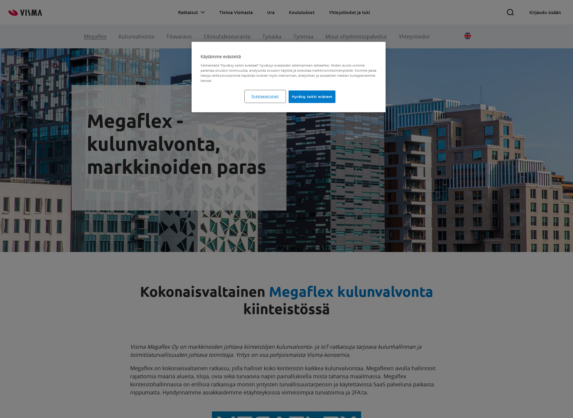 Skärmdump för megaflex.fi