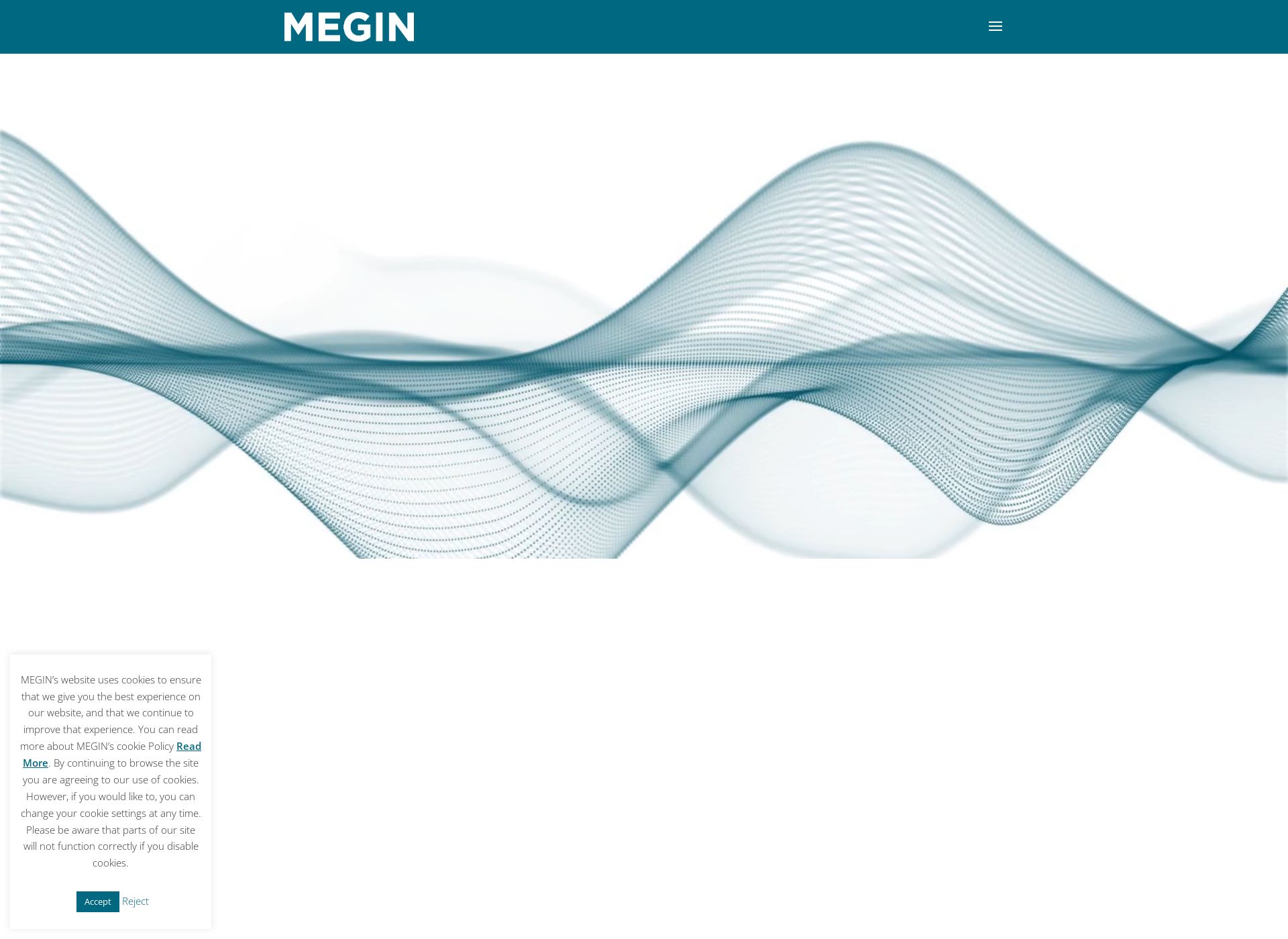 Screenshot for megin.fi