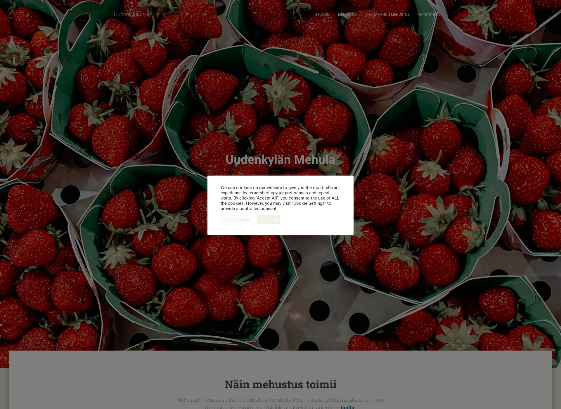 Screenshot for mehula.fi