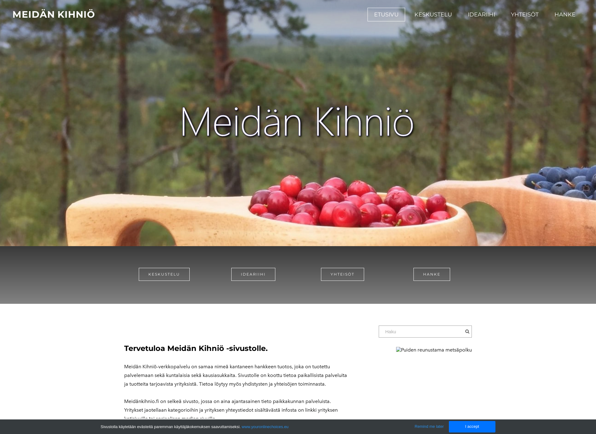 Skärmdump för meidankihnio.fi