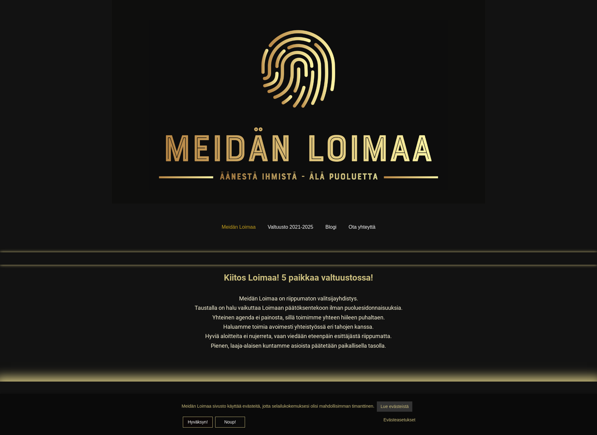 Screenshot for meidanloimaa.fi