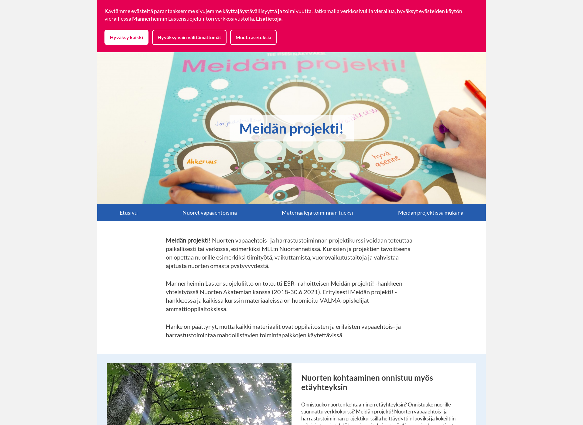 Screenshot for meidanprojekti.fi