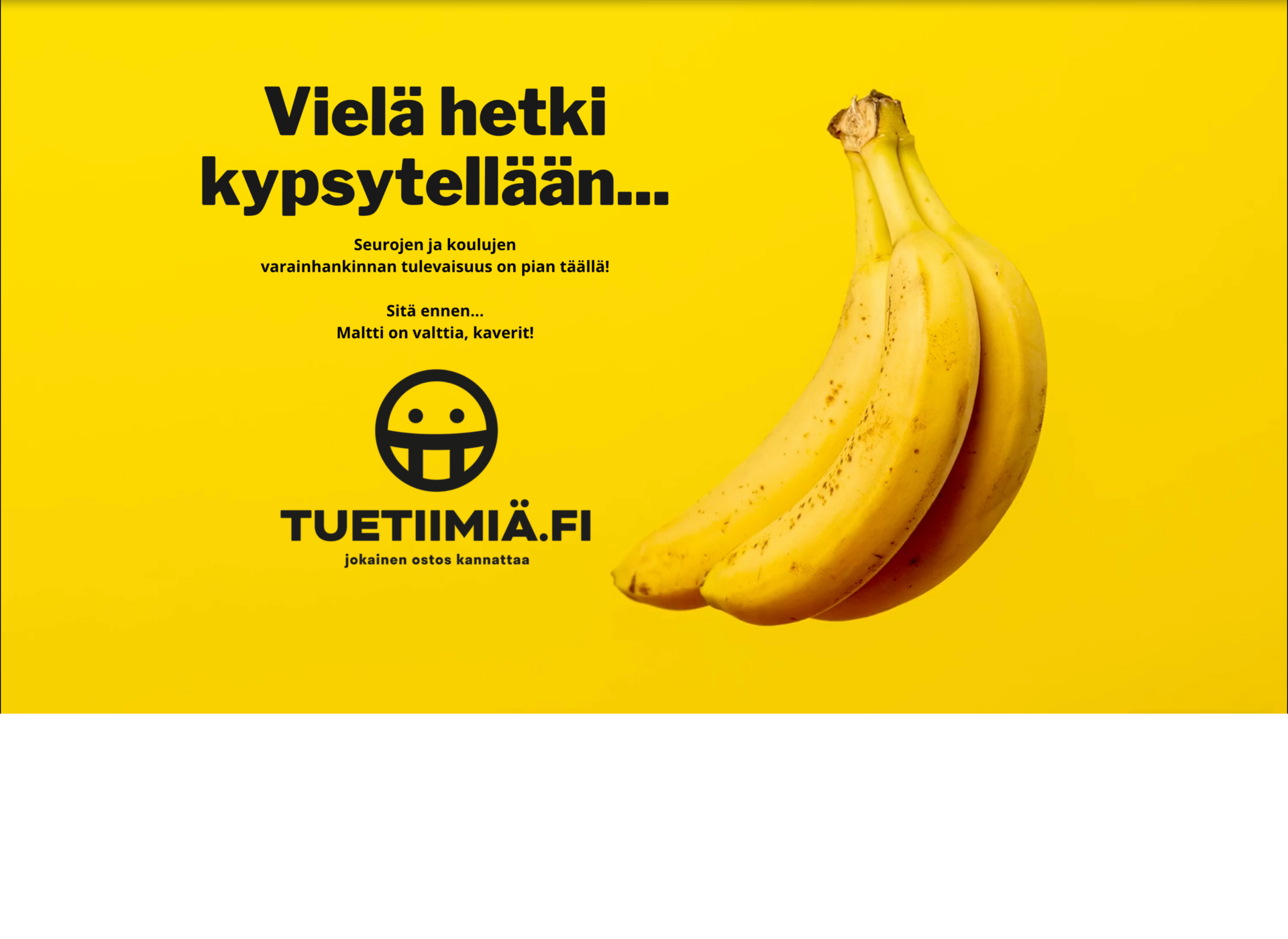 Screenshot for meidäntiimi.fi
