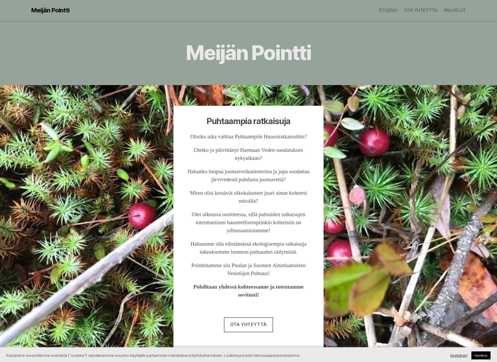 Skärmdump för meijanpointti.fi