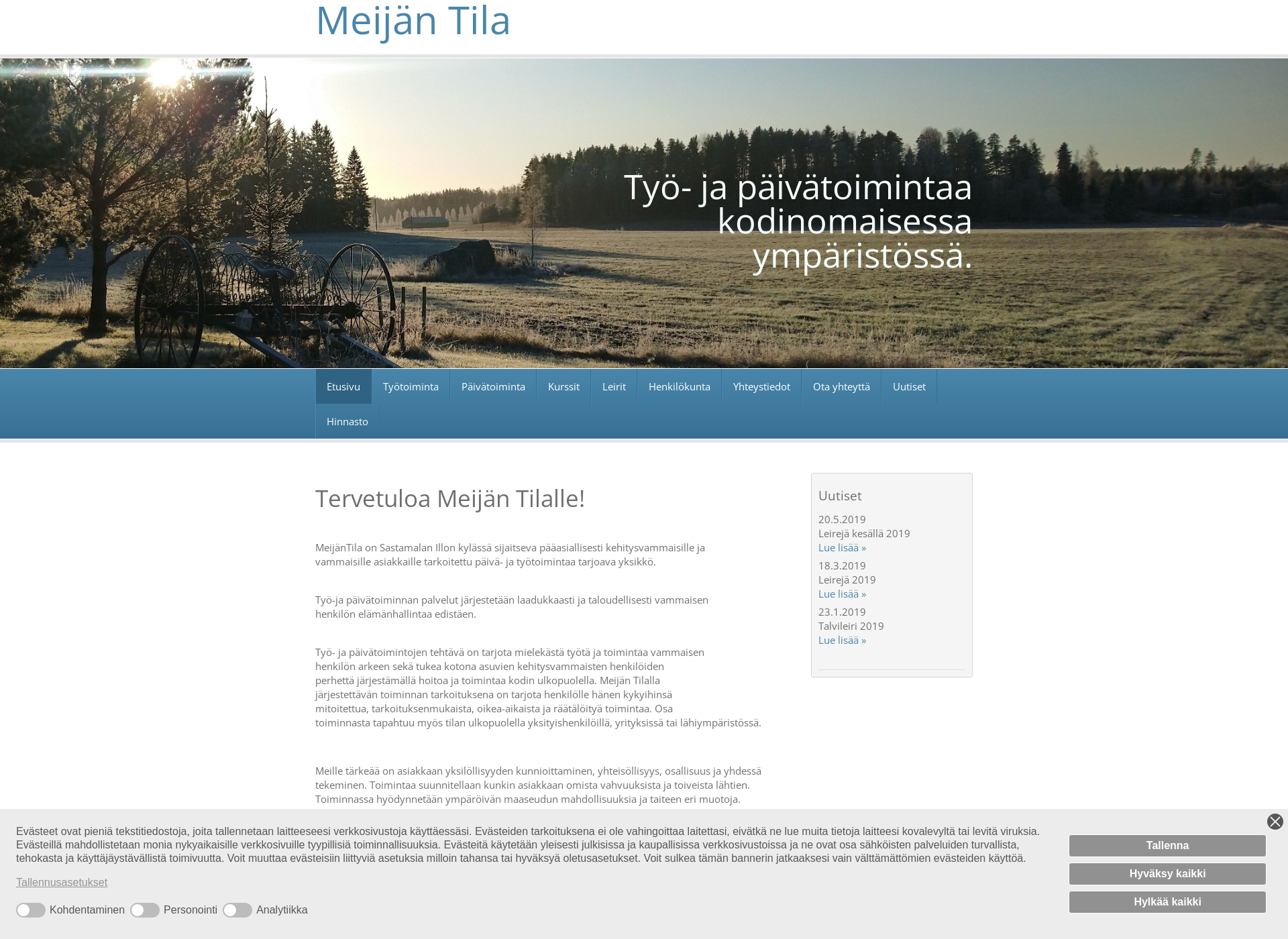 Screenshot for meijantila.fi